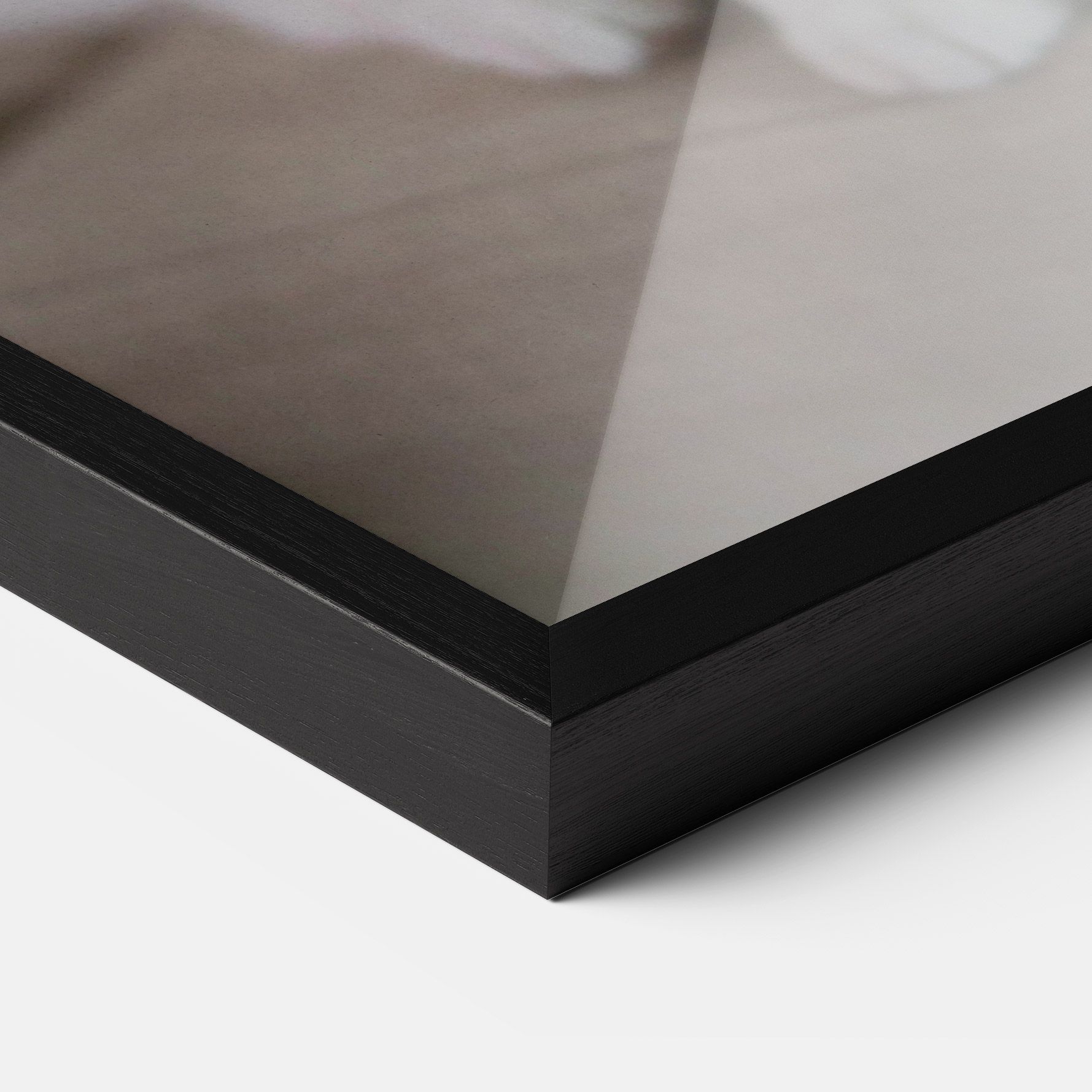 Beautiful White Cat mockup 3