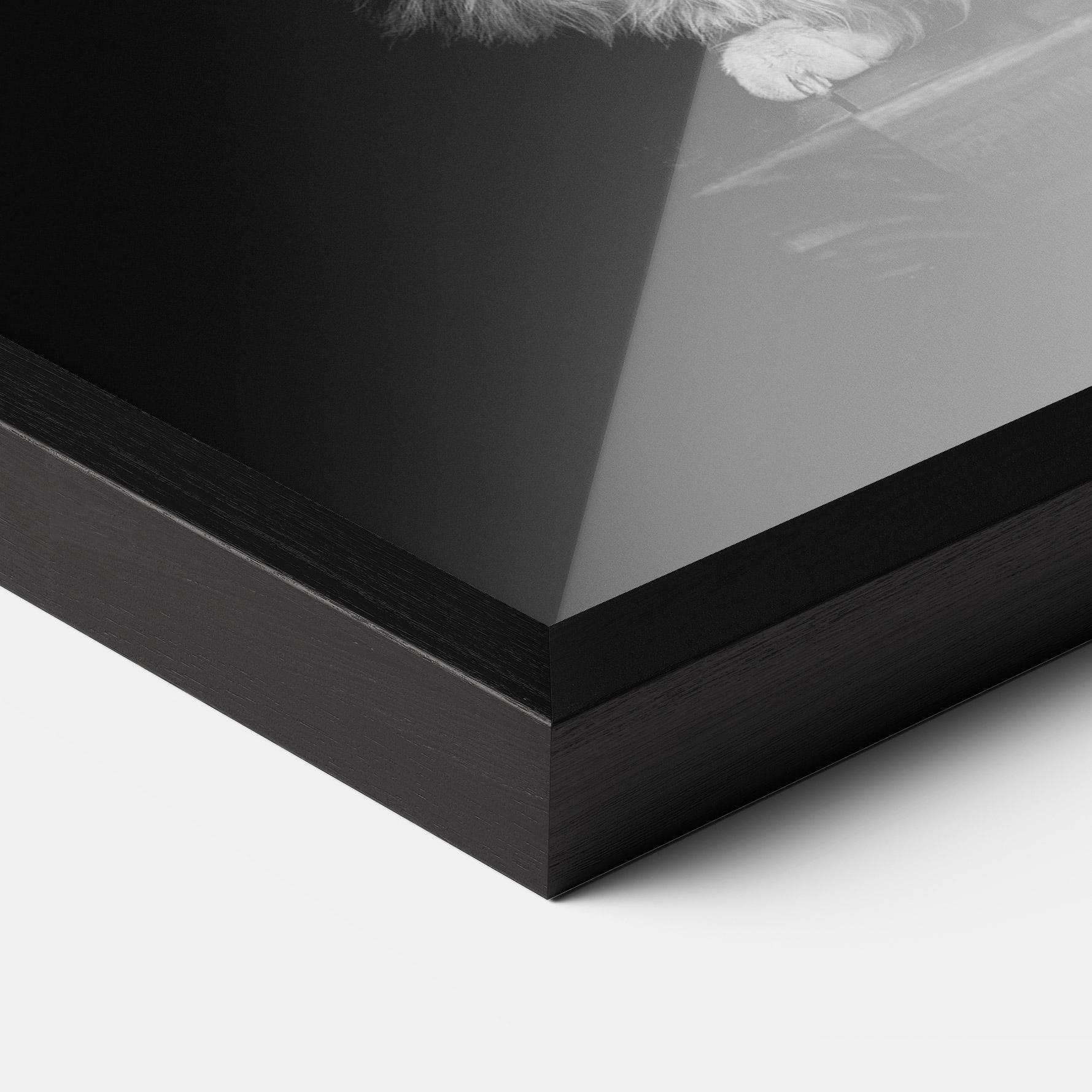 Poster Înrămat Big Fluffy Cat mockup 3