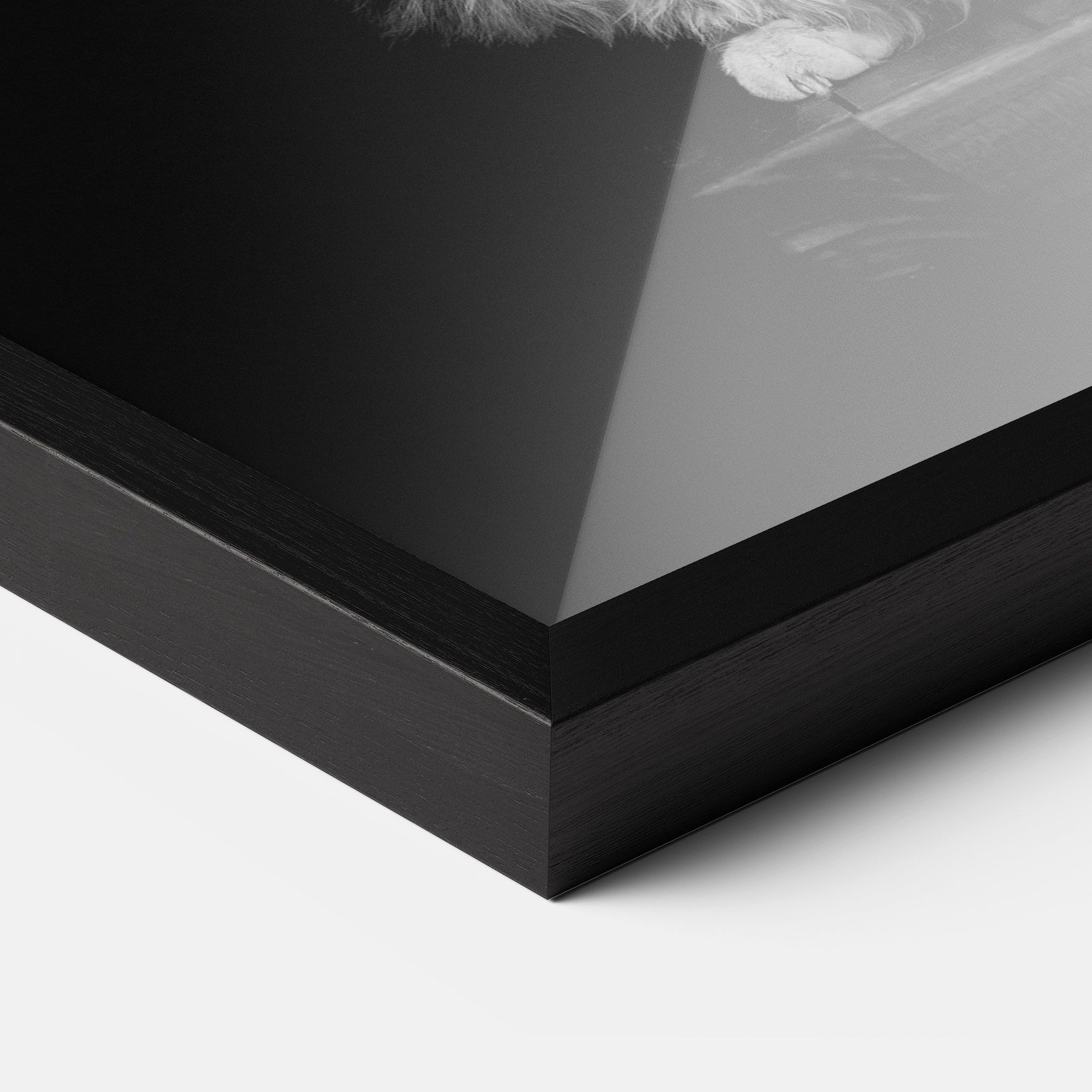 Big Fluffy Cat mockup 3