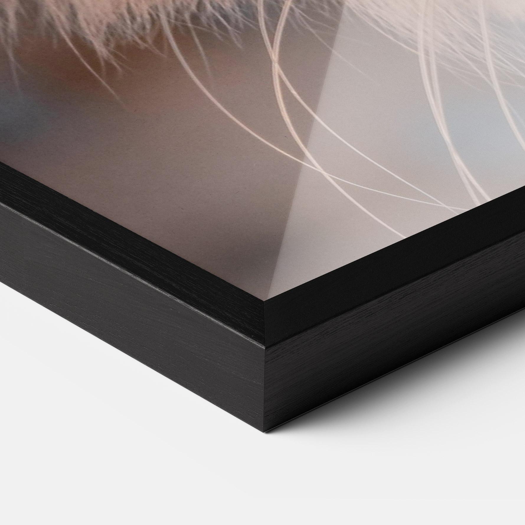 Poster Înrămat Cat Eye In Sun mockup 3