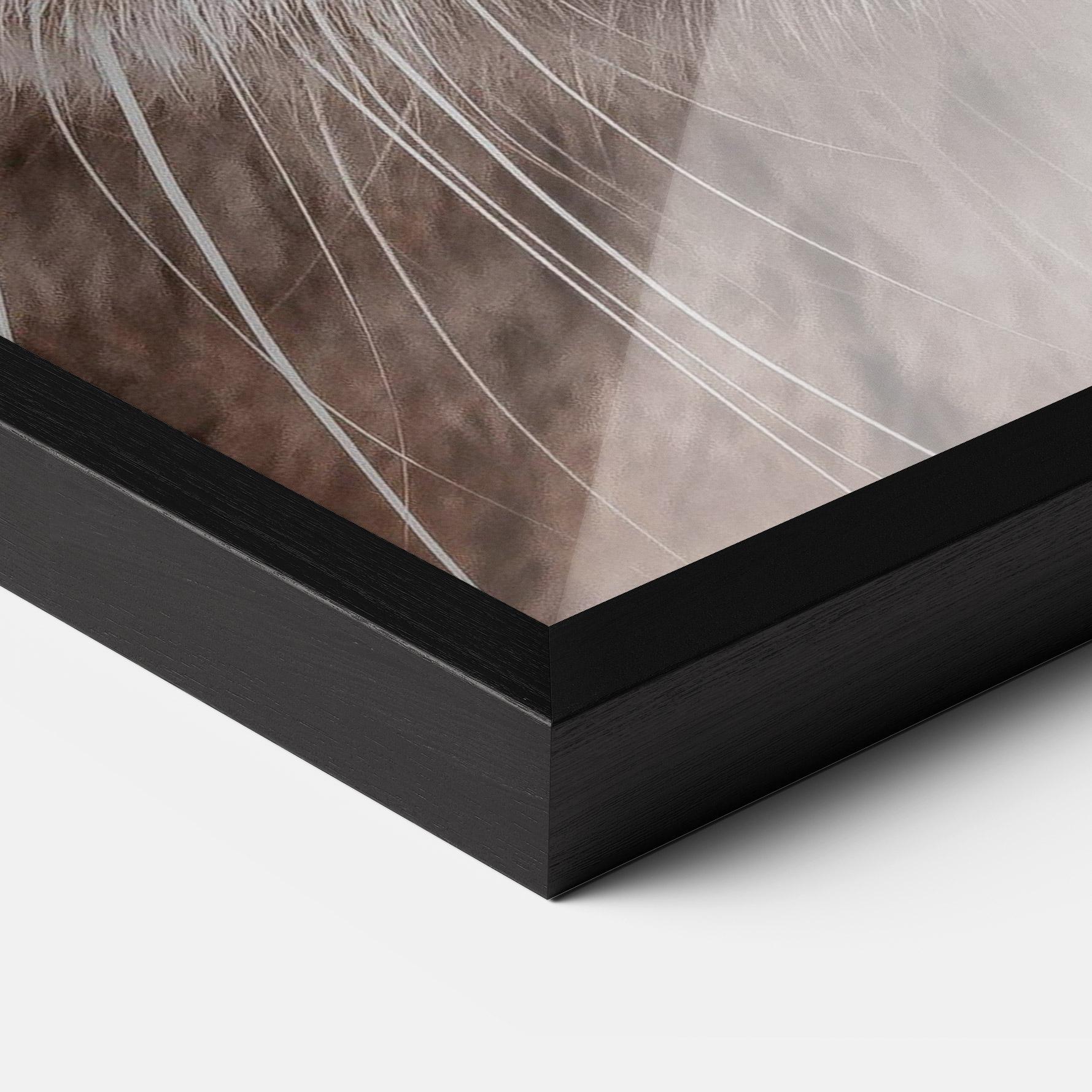 Poster Înrămat Fire Eyes Cat mockup 3