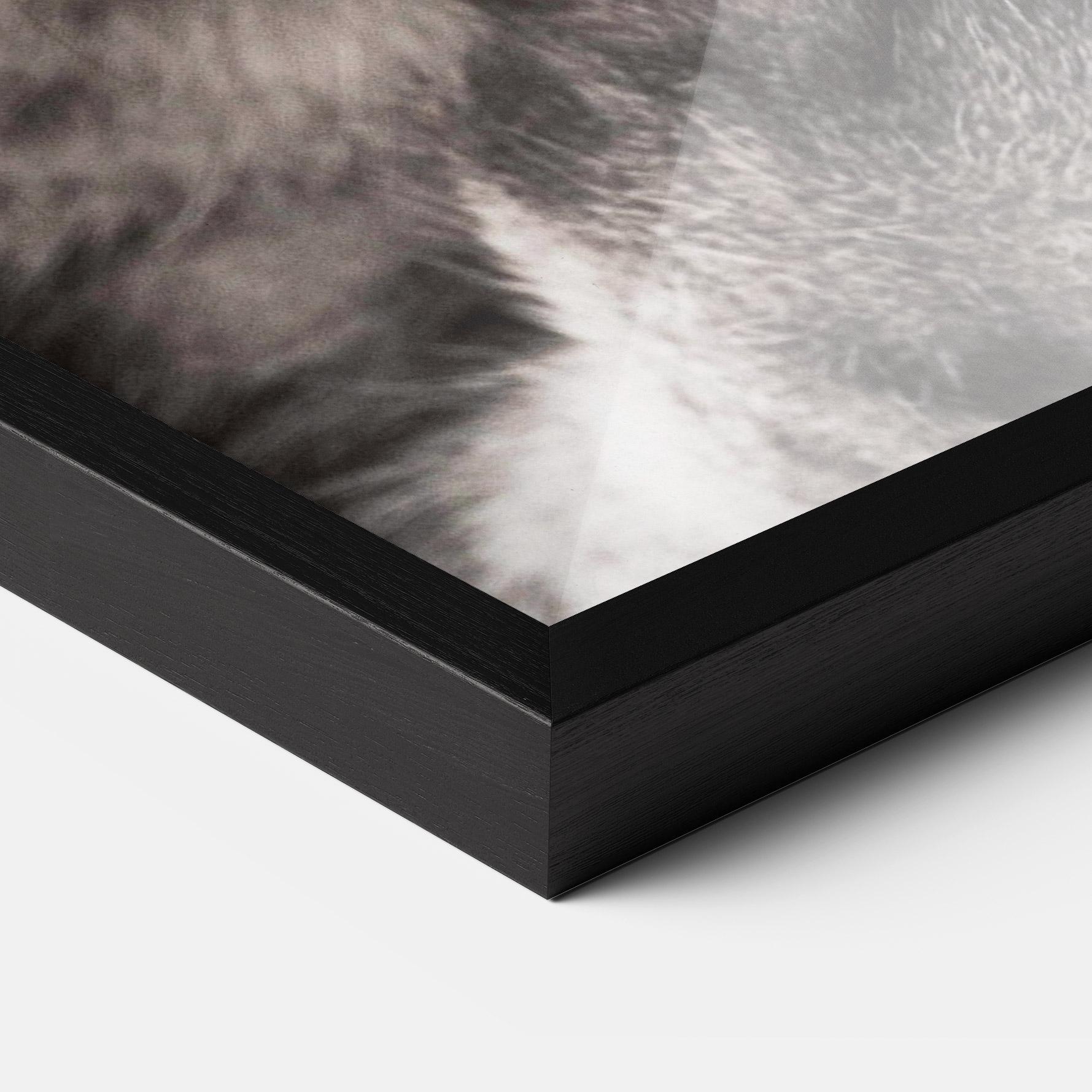 Poster Înrămat Green Eyes Close Up Cat mockup 3