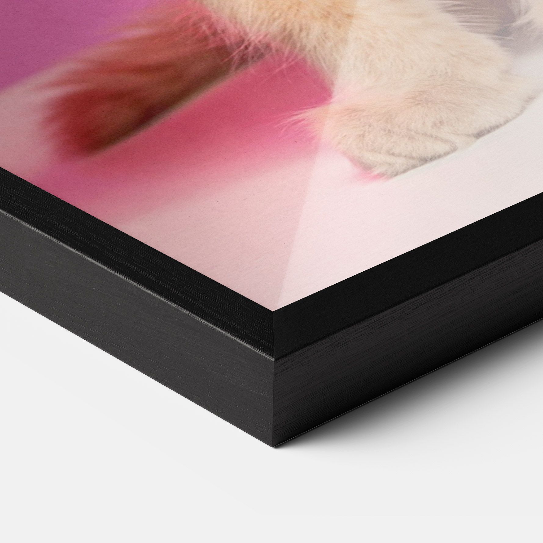 Orange Cat On Pink mockup 3