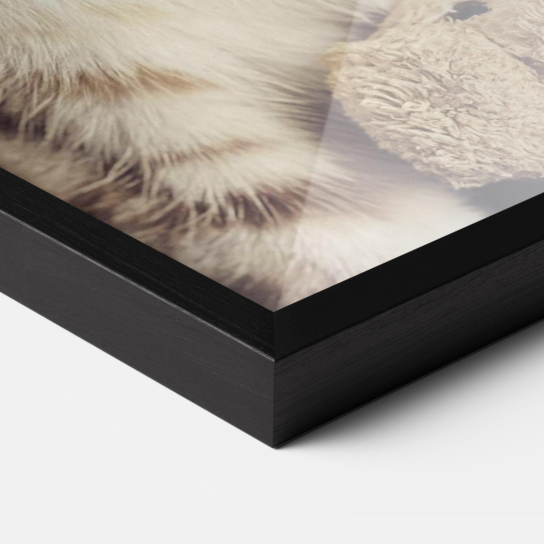 Poster Înrămat Pretty Blue Eyes Cat mockup 3