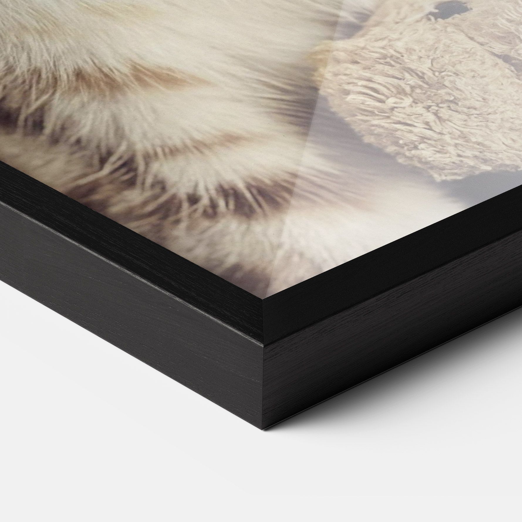 Pretty Blue Eyes Cat mockup 3