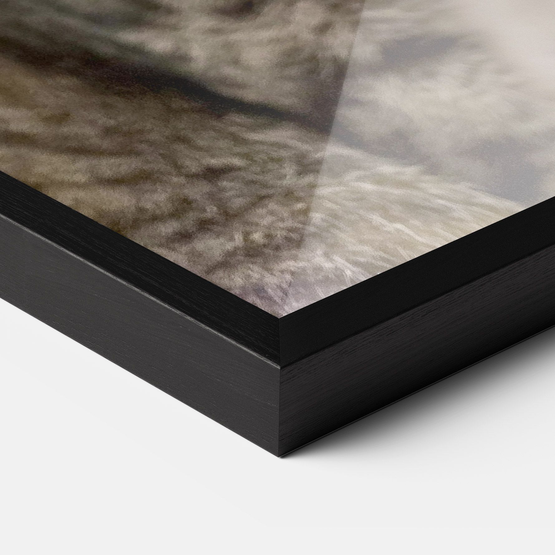 Yellow Eyes Cat mockup 3