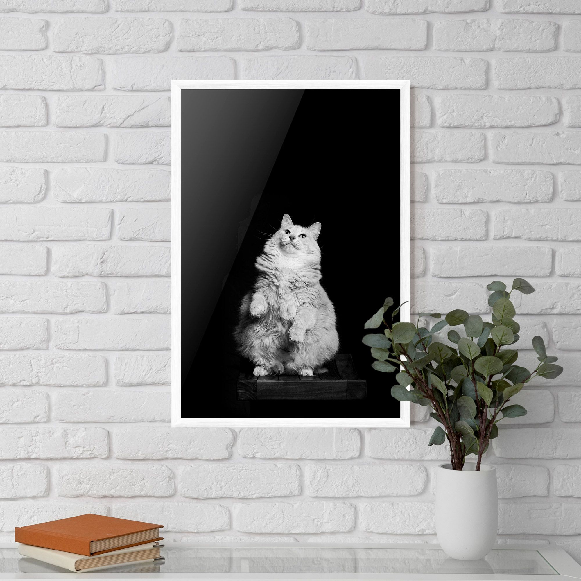 Big Fluffy Cat mockup 5