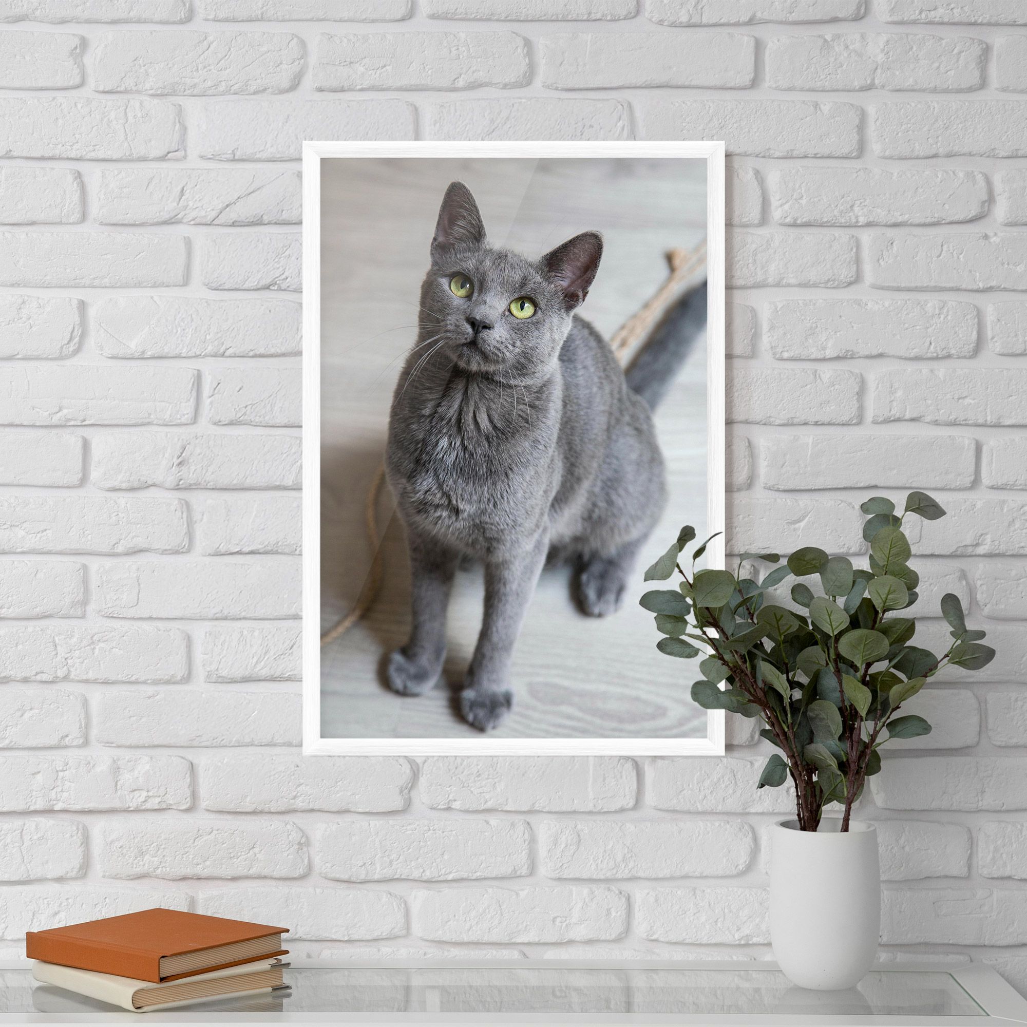Grey Green Cat Eyes mockup 5