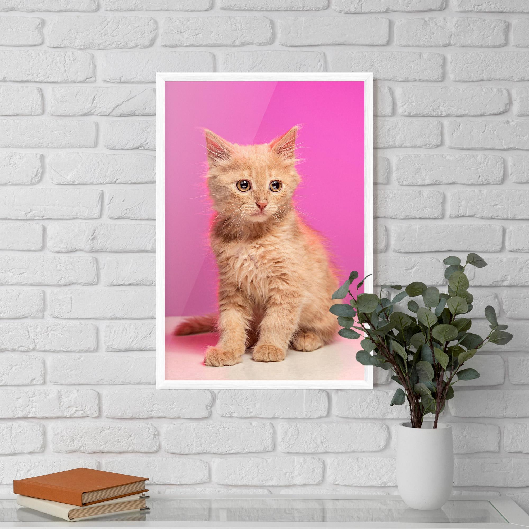 Poster Înrămat Orange Cat On Pink mockup 5