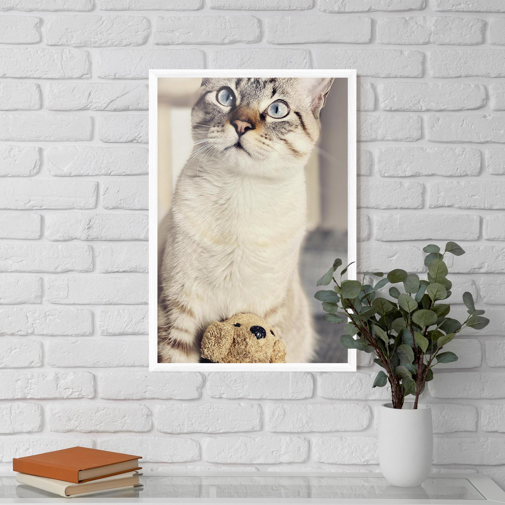 Poster Înrămat Pretty Blue Eyes Cat mockup 5