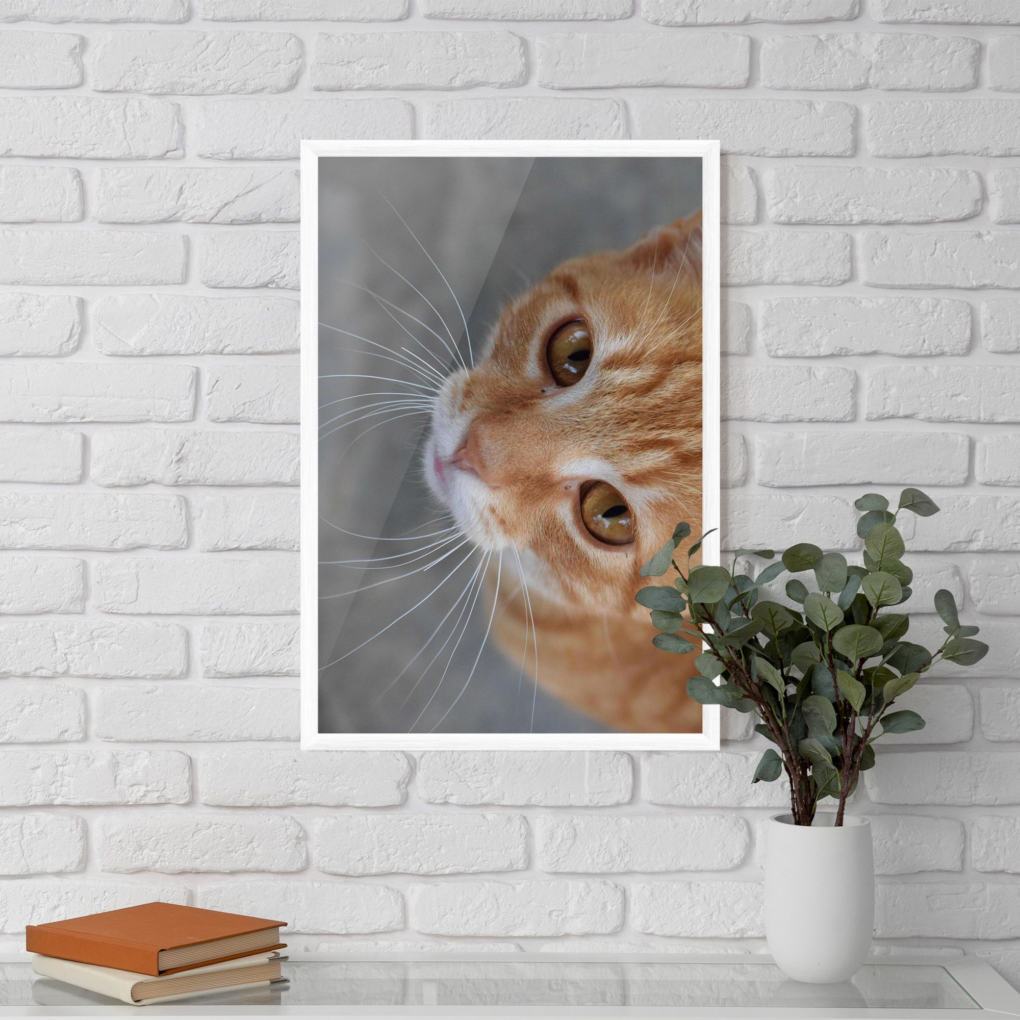 Pretty Orange Eyes Cat mockup 5