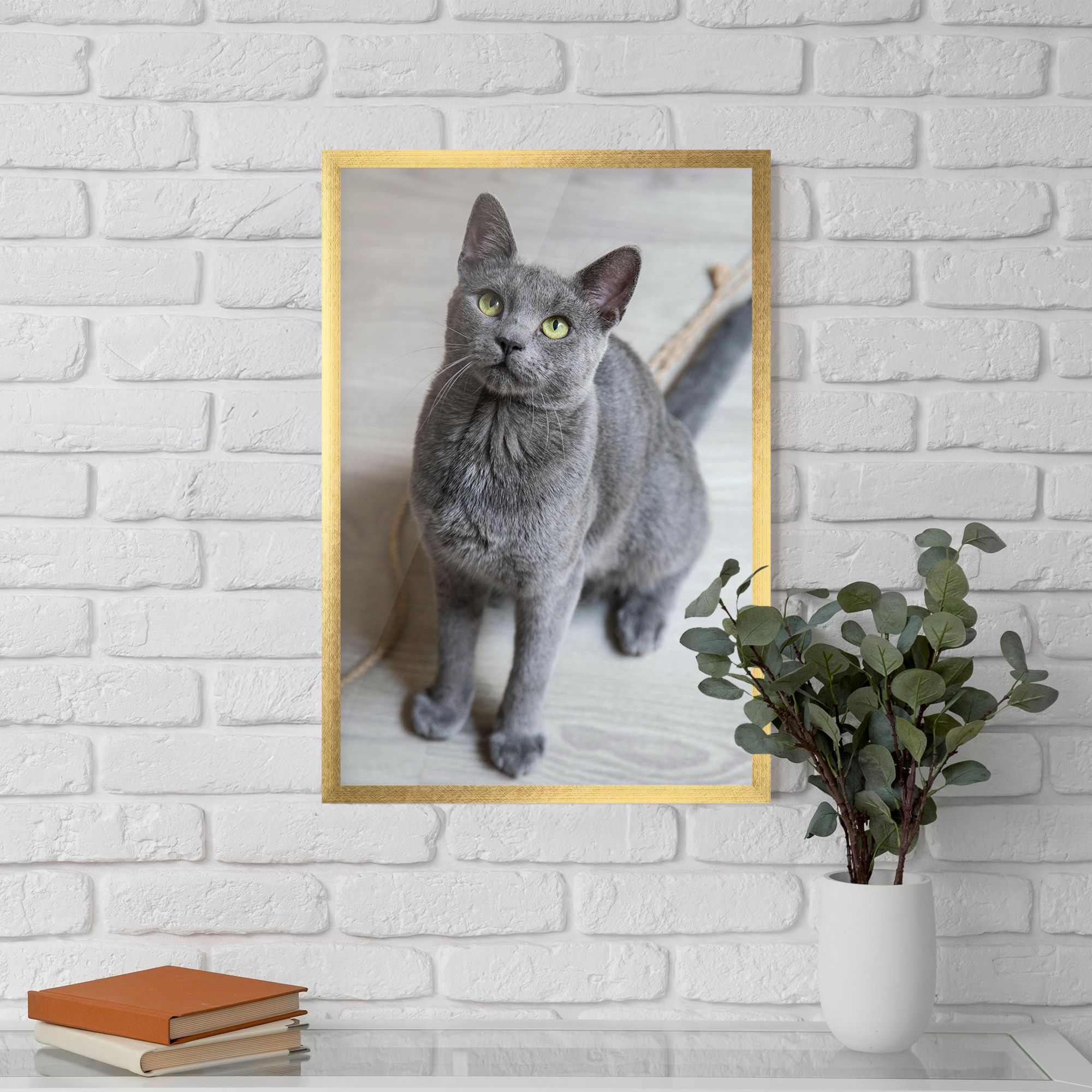 Grey Green Cat Eyes mockup 5