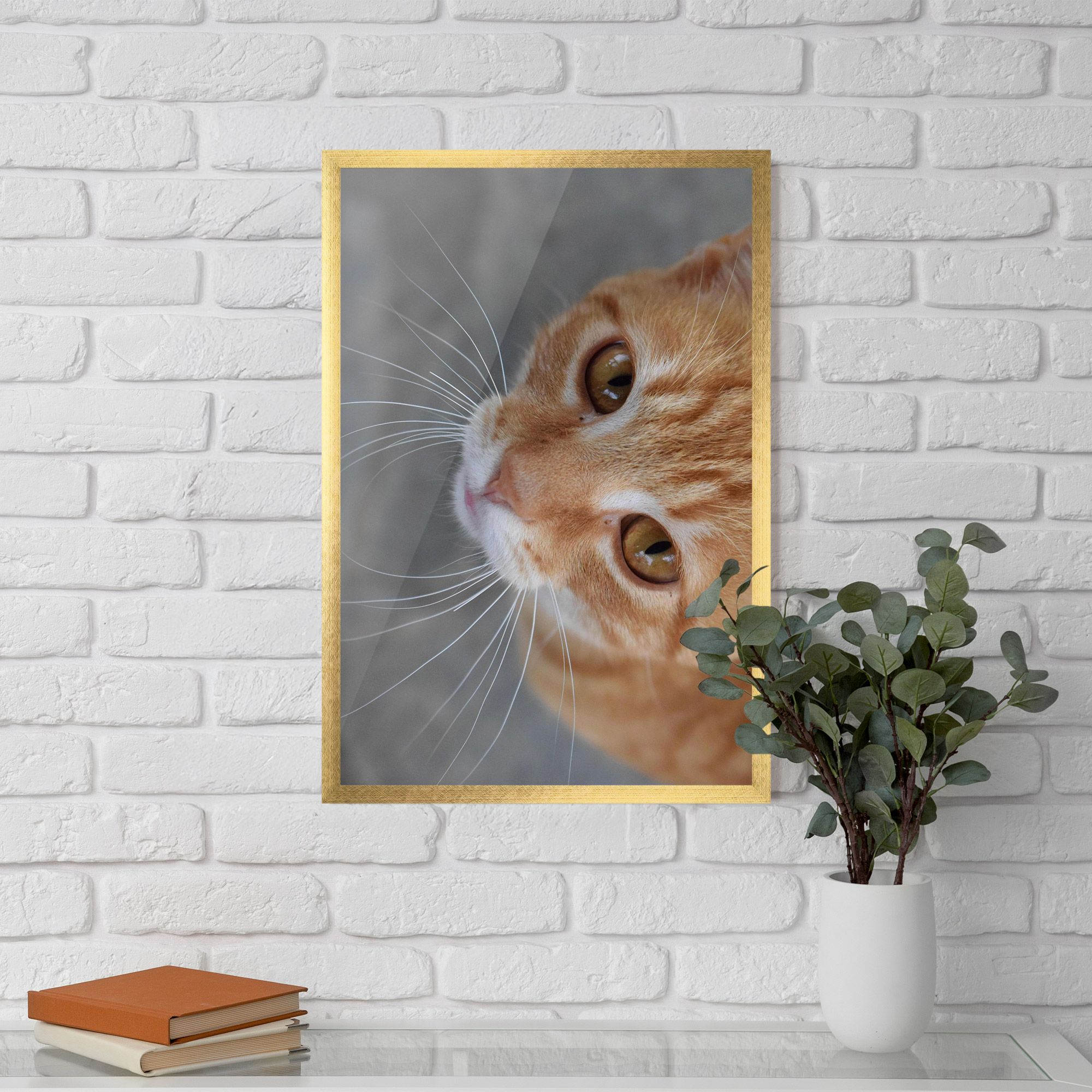 Pretty Orange Eyes Cat mockup 5