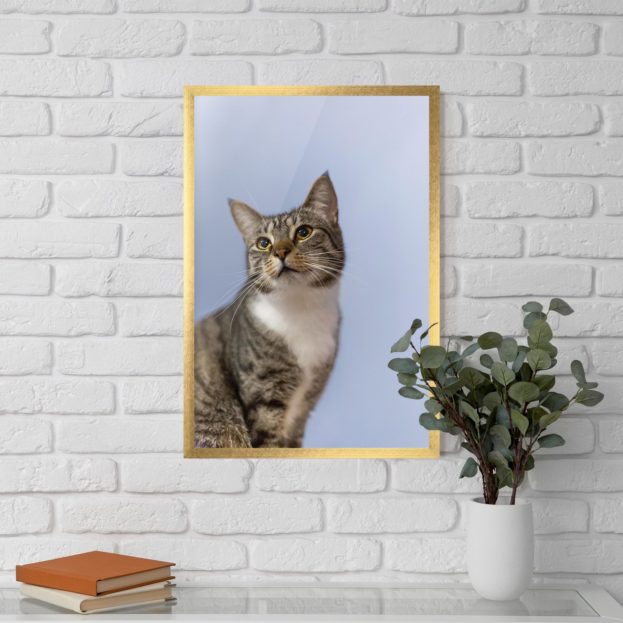 Yellow Eyes Cat mockup 5