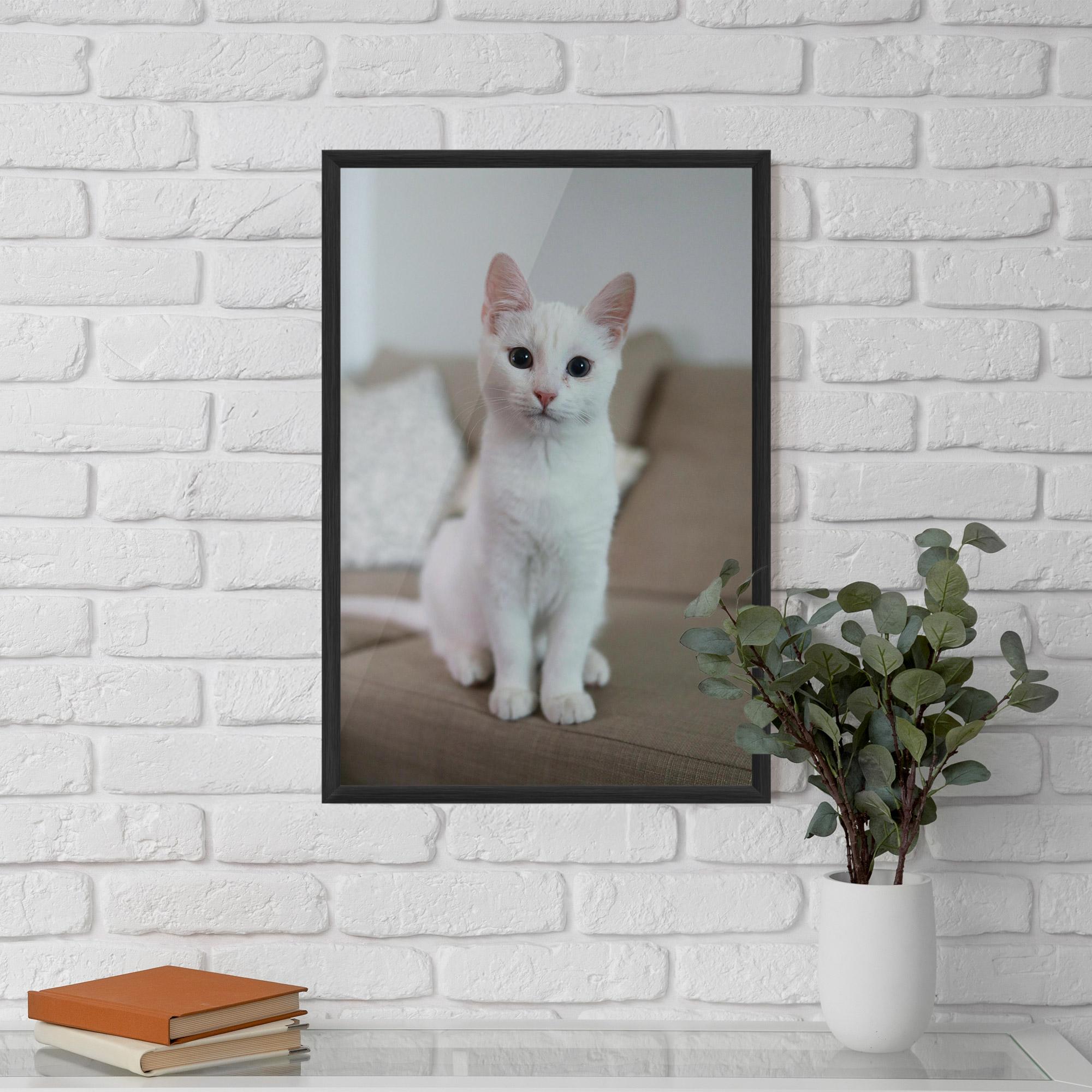 Poster Înrămat Beautiful White Cat mockup 5