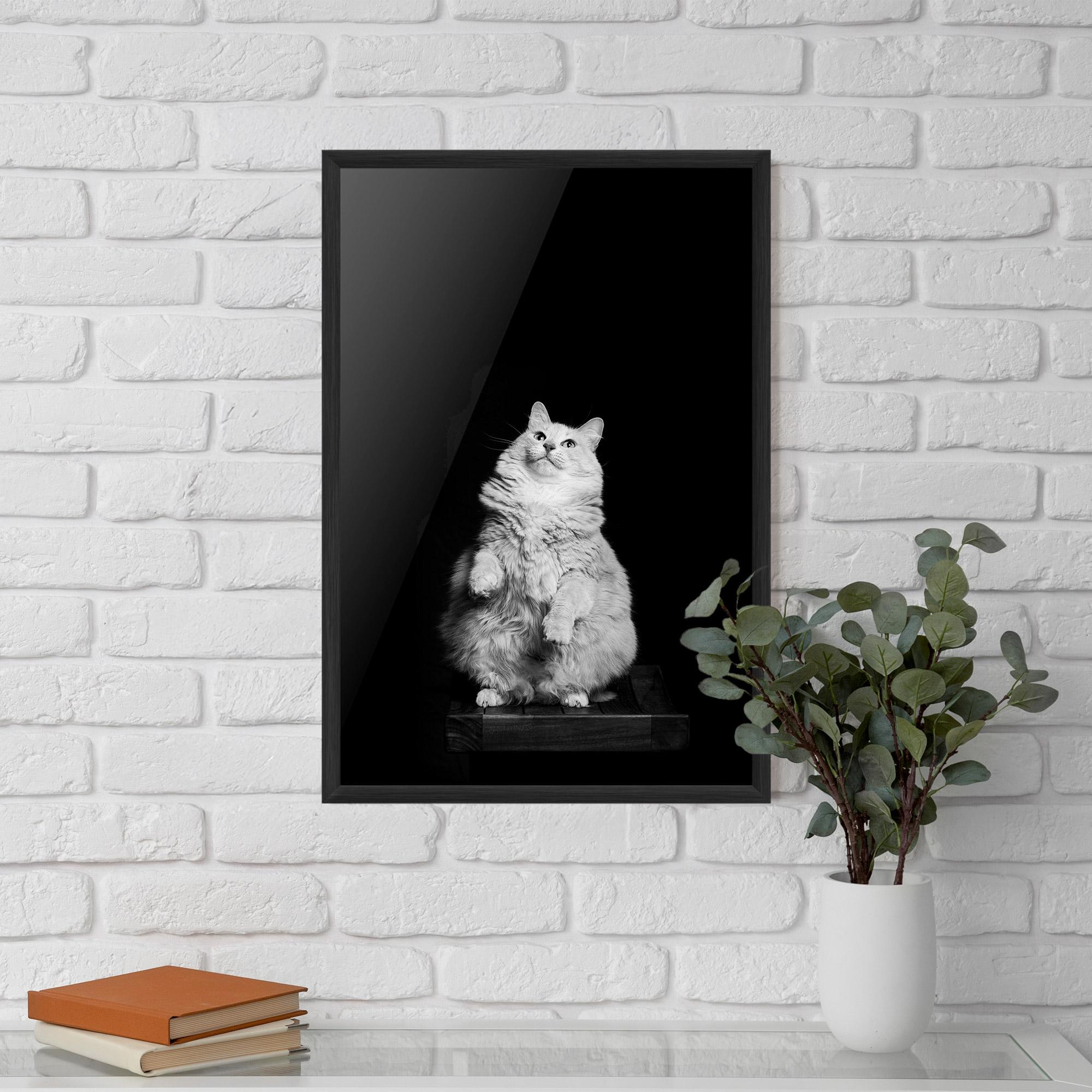 Poster Înrămat Big Fluffy Cat mockup 5