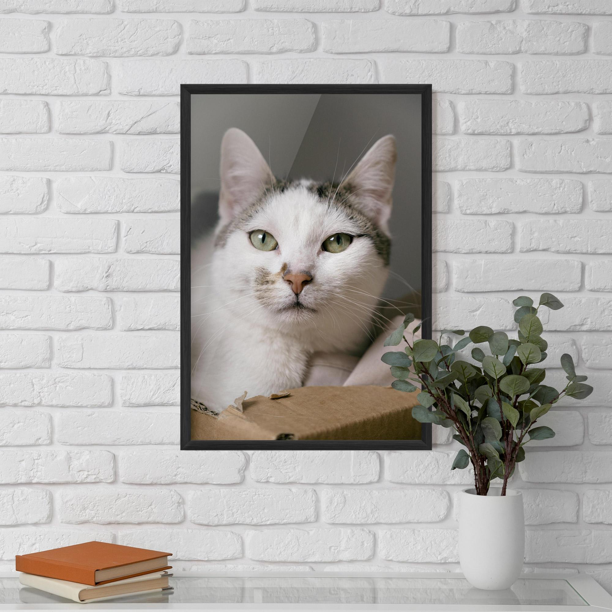 Poster Înrămat Big Sleepy Cat mockup 5