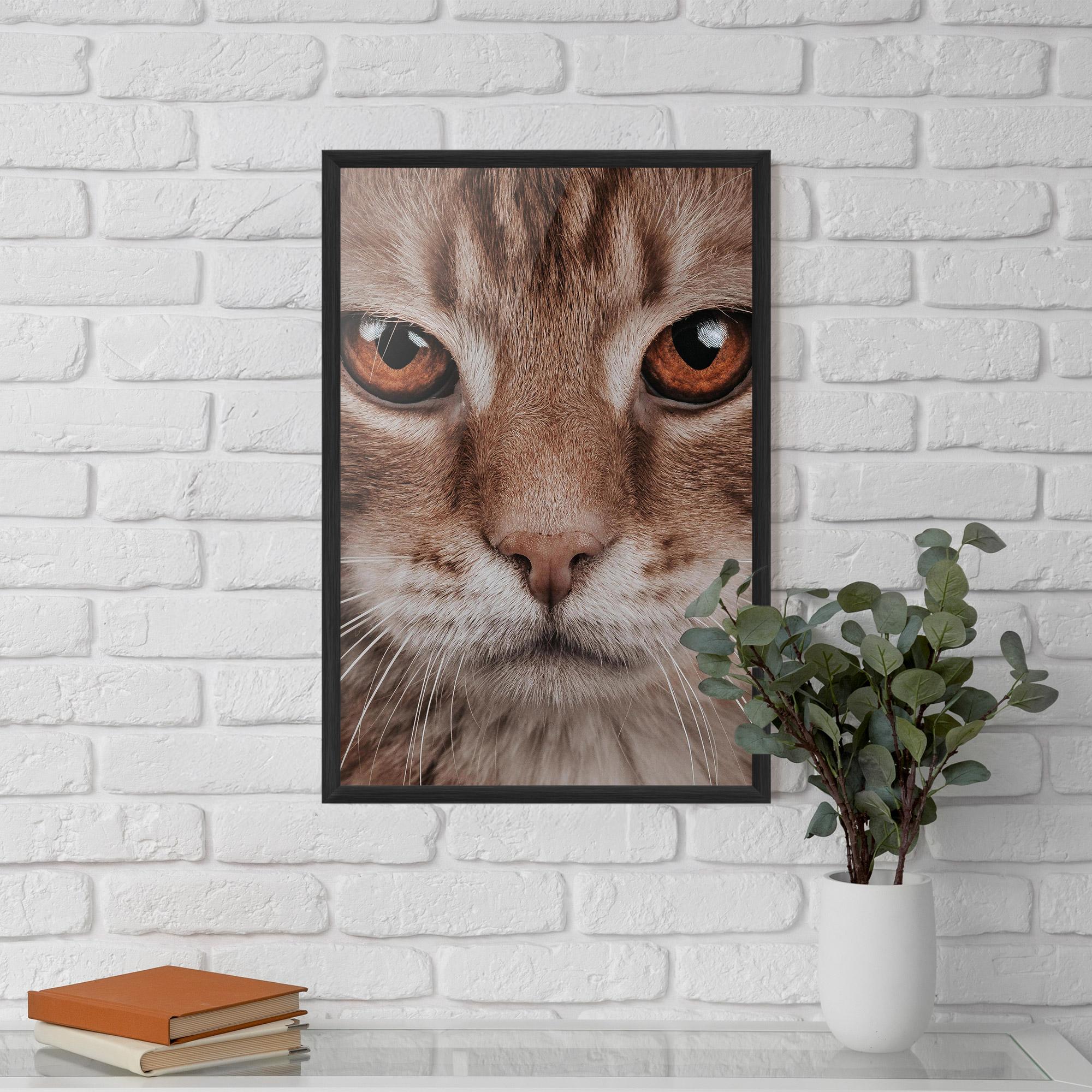 Poster Înrămat Fire Eyes Cat mockup 5