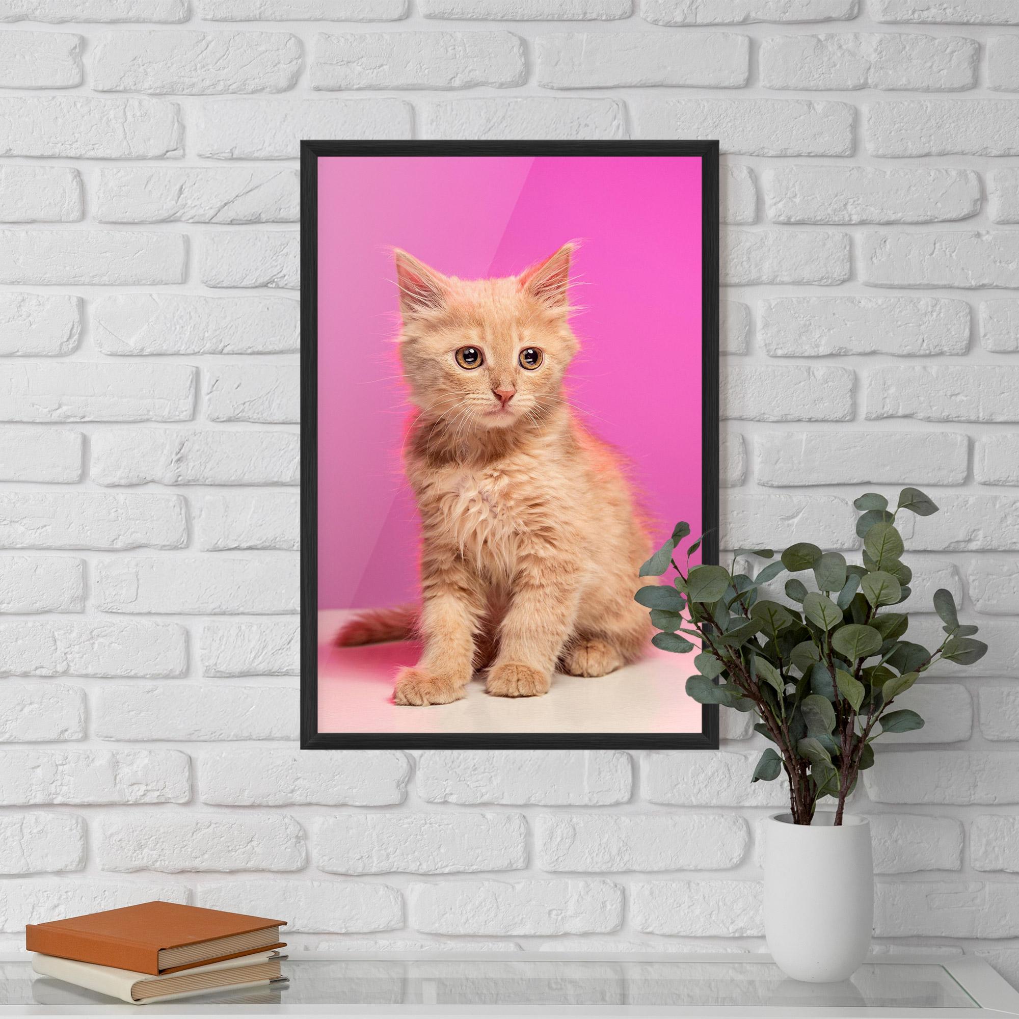 Poster Înrămat Orange Cat On Pink mockup 5