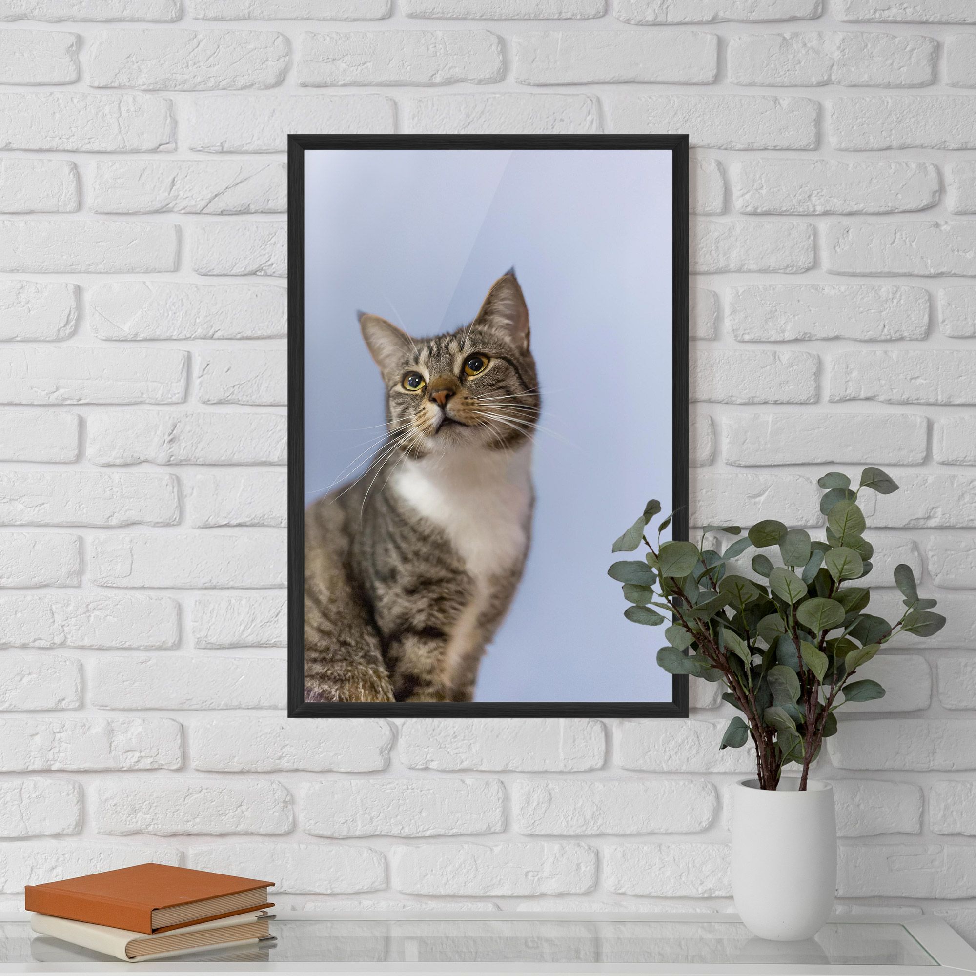 Yellow Eyes Cat mockup 5