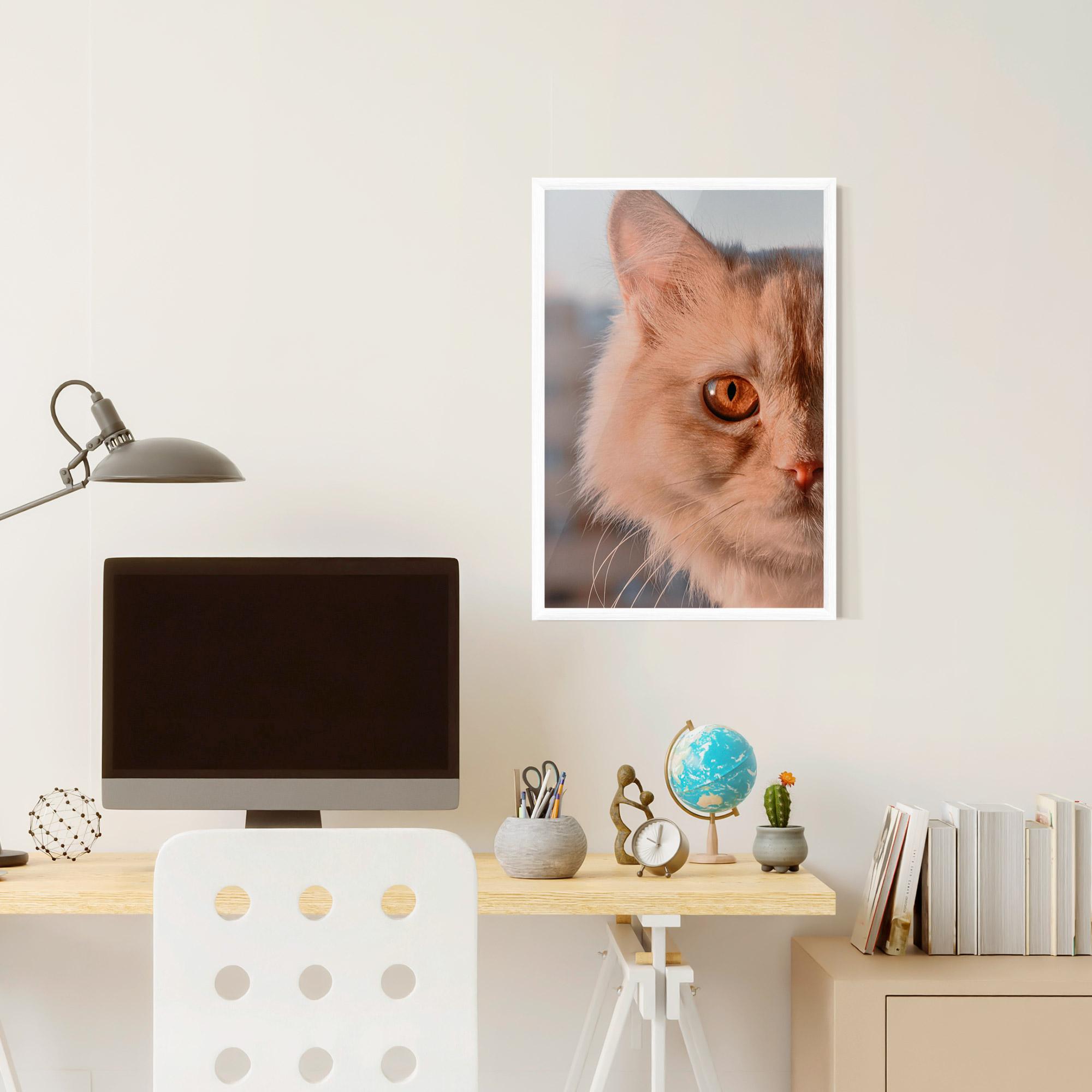 Poster Înrămat Cat Eye In Sun mockup 6