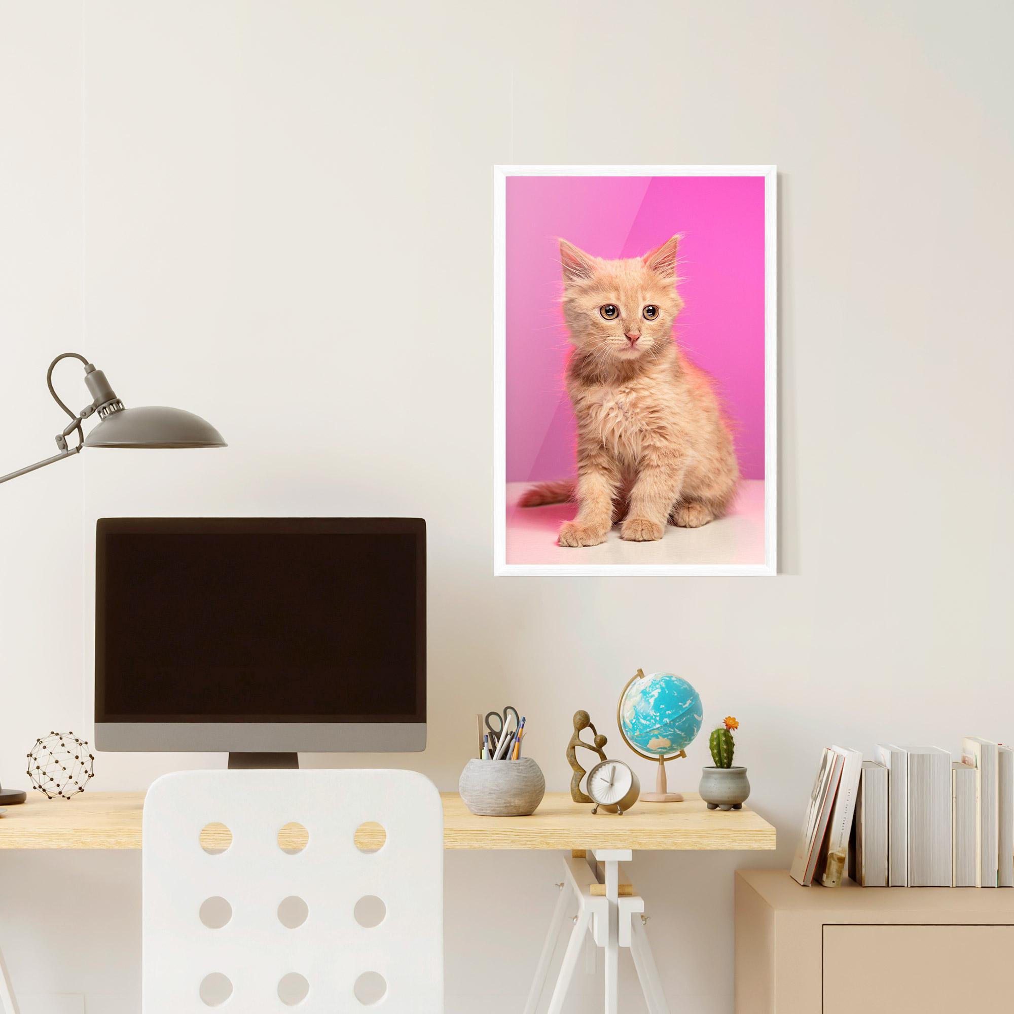 Poster Înrămat Orange Cat On Pink mockup 6