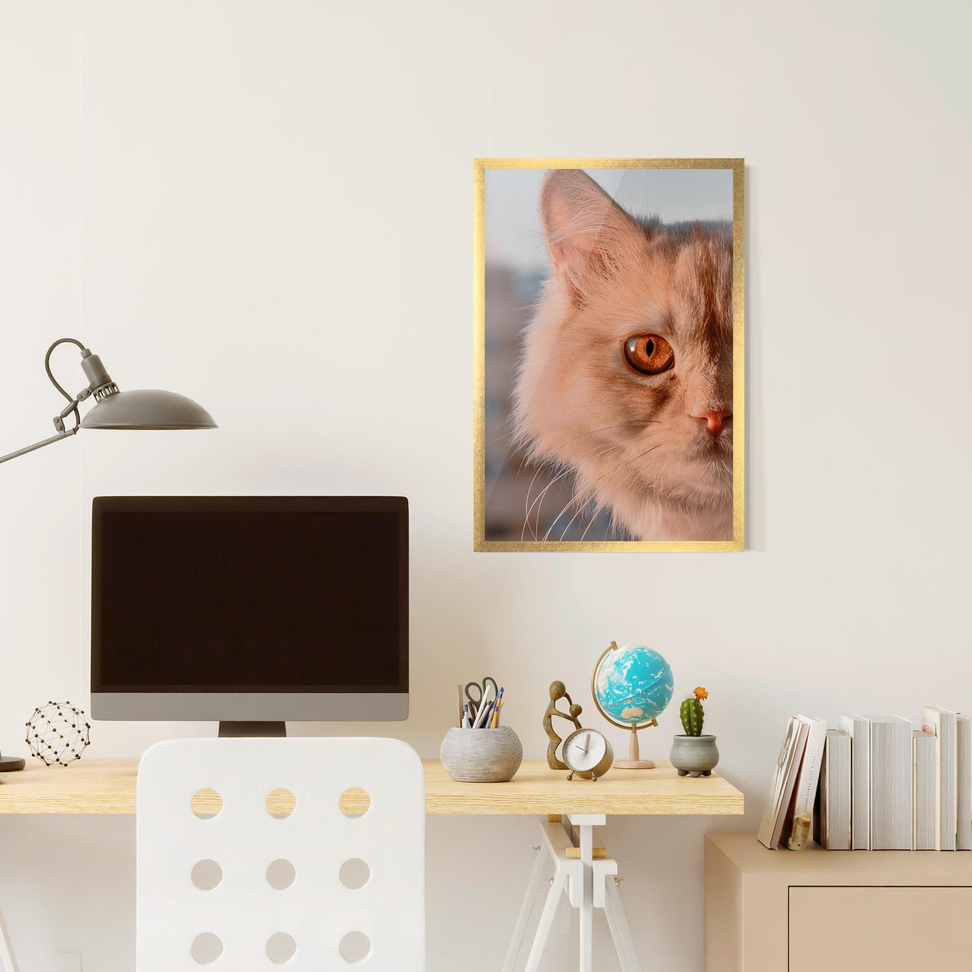 Poster Înrămat Cat Eye In Sun mockup 6