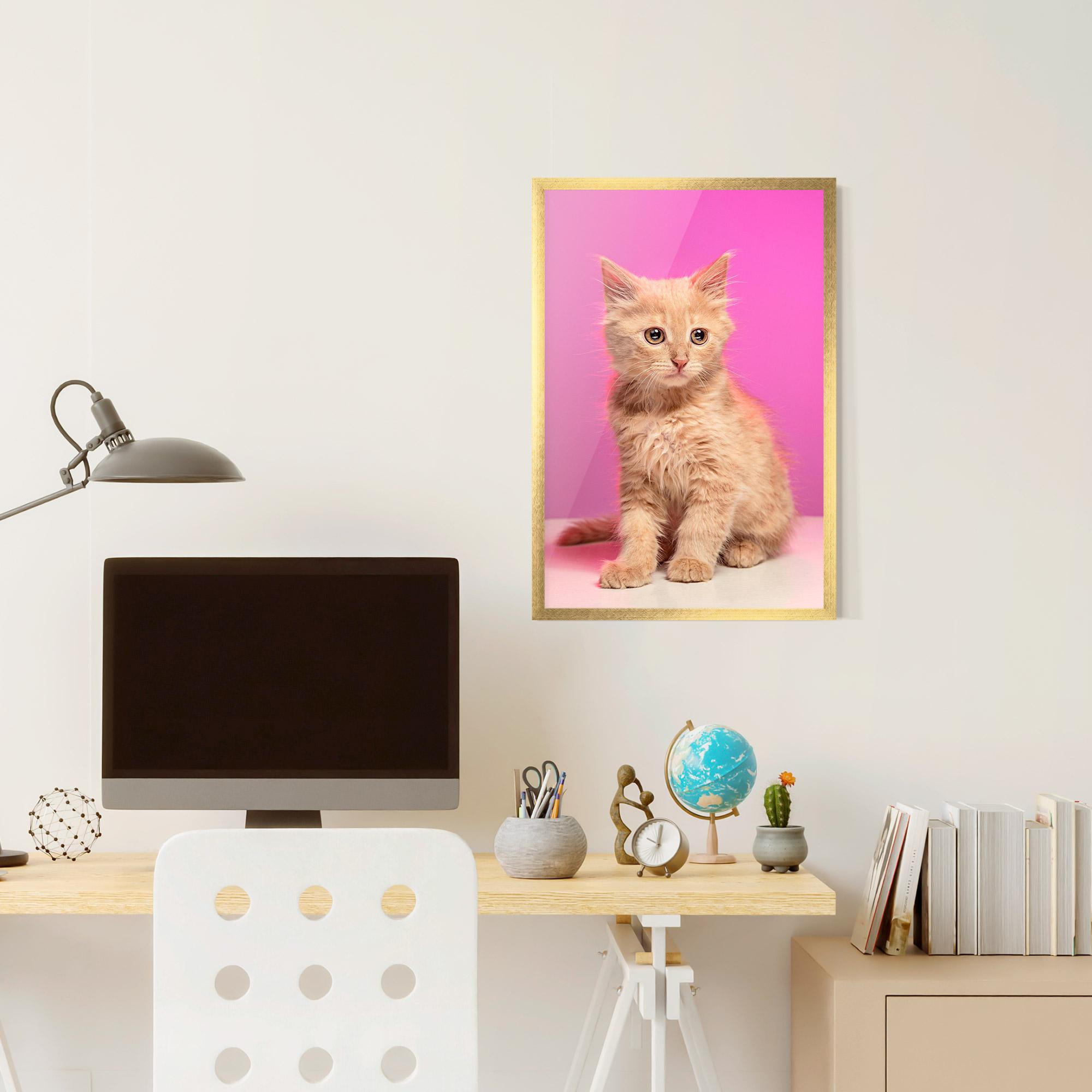 Poster Înrămat Orange Cat On Pink mockup 6