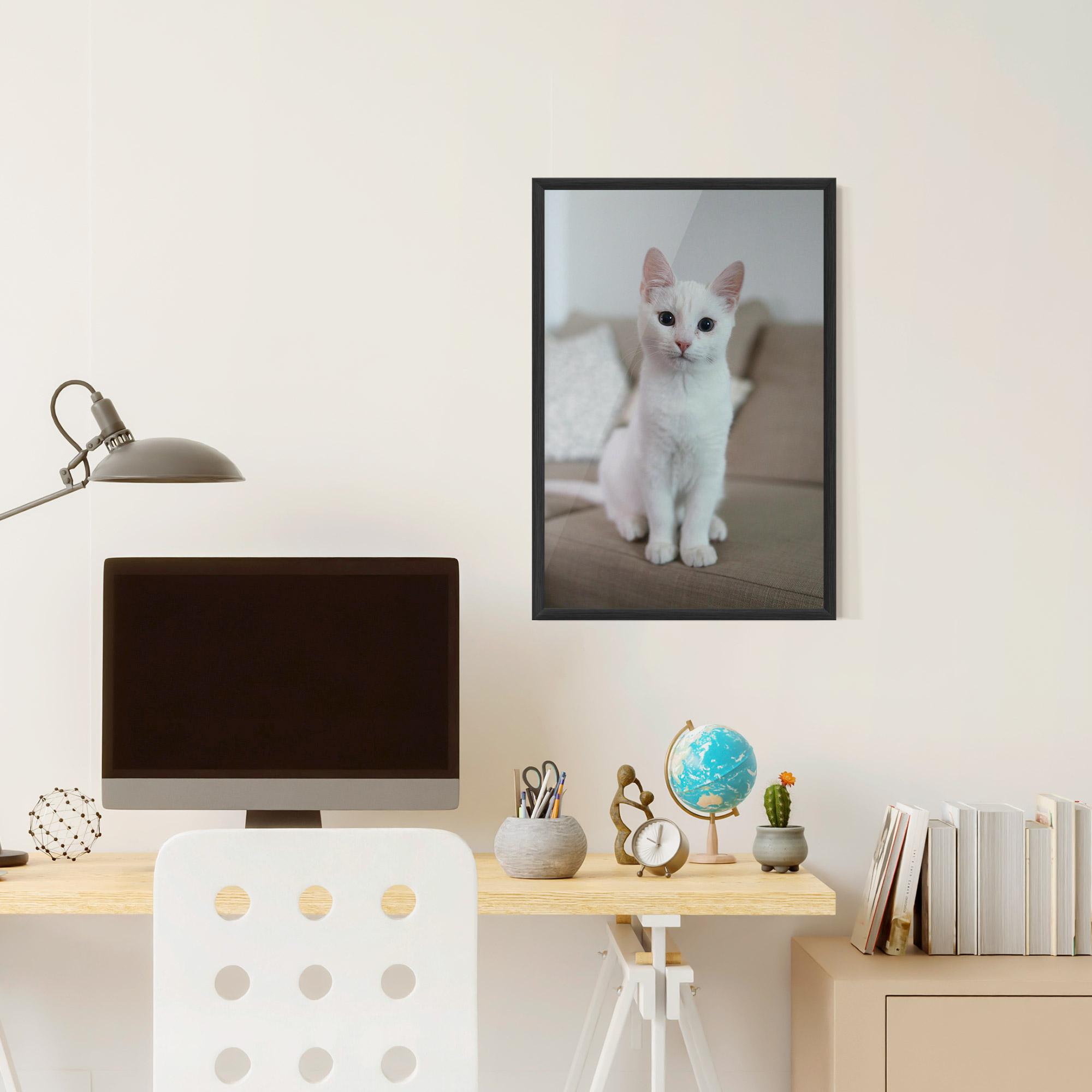 Poster Înrămat Beautiful White Cat mockup 6