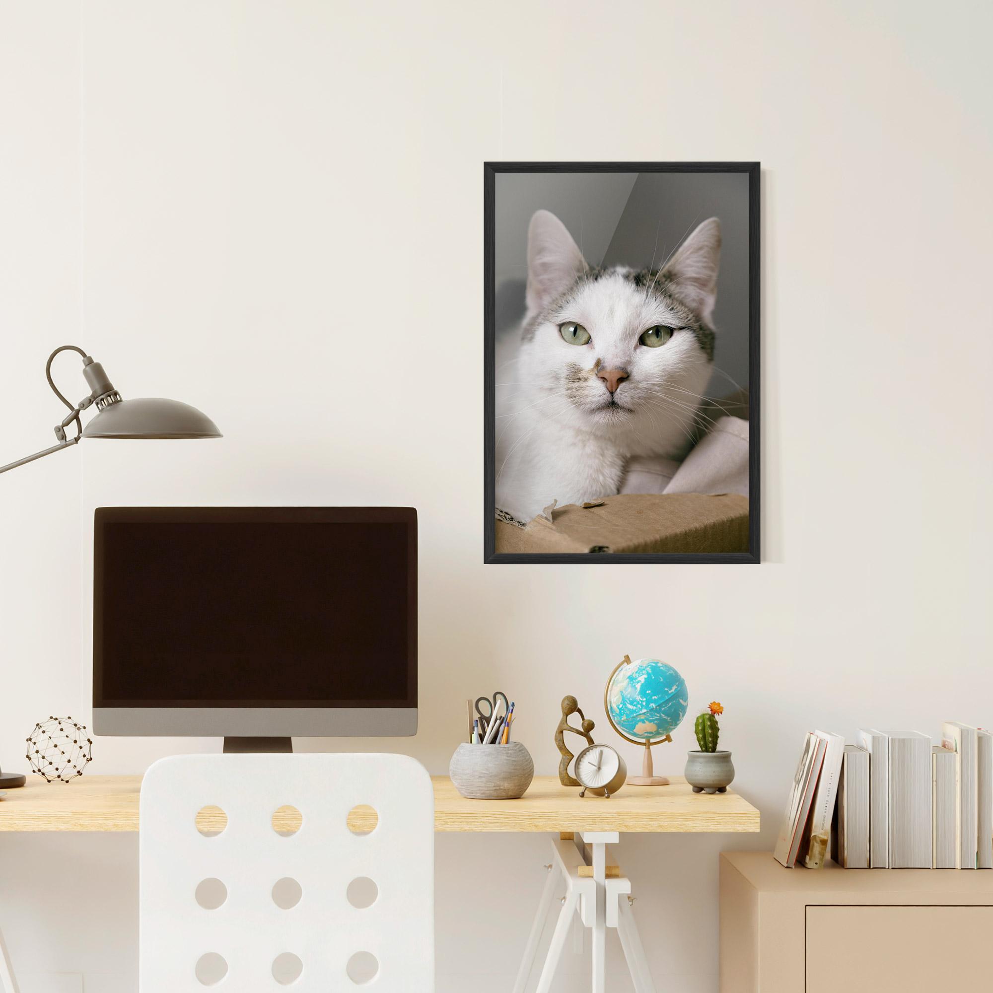 Poster Înrămat Big Sleepy Cat mockup 6