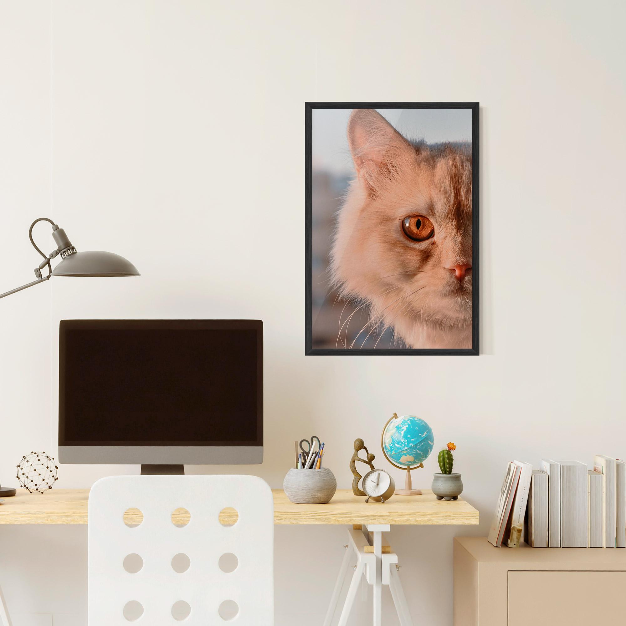 Poster Înrămat Cat Eye In Sun mockup 6