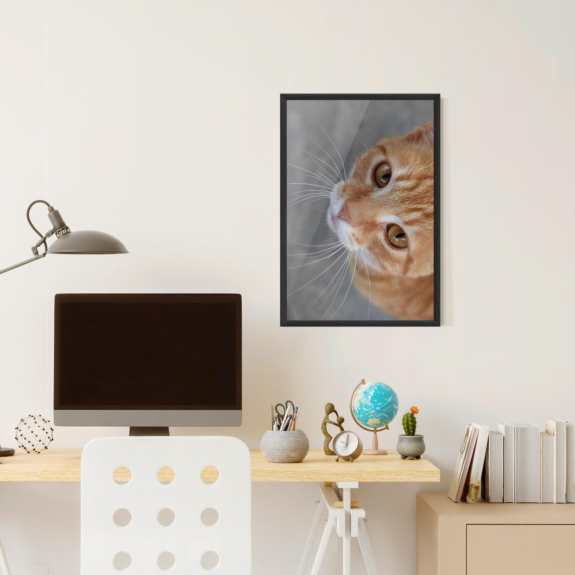 Poster Înrămat Pretty Orange Eyes Cat mockup 6