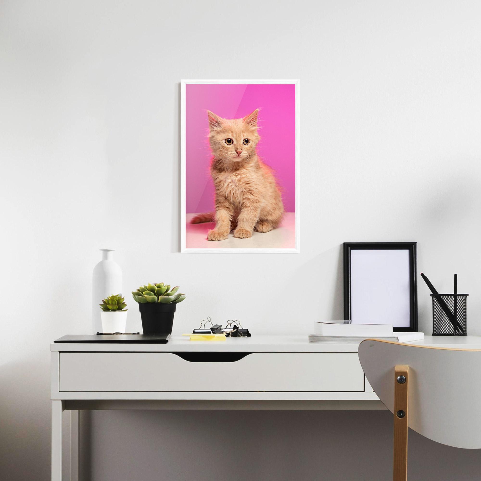 Poster Înrămat Orange Cat On Pink mockup 7
