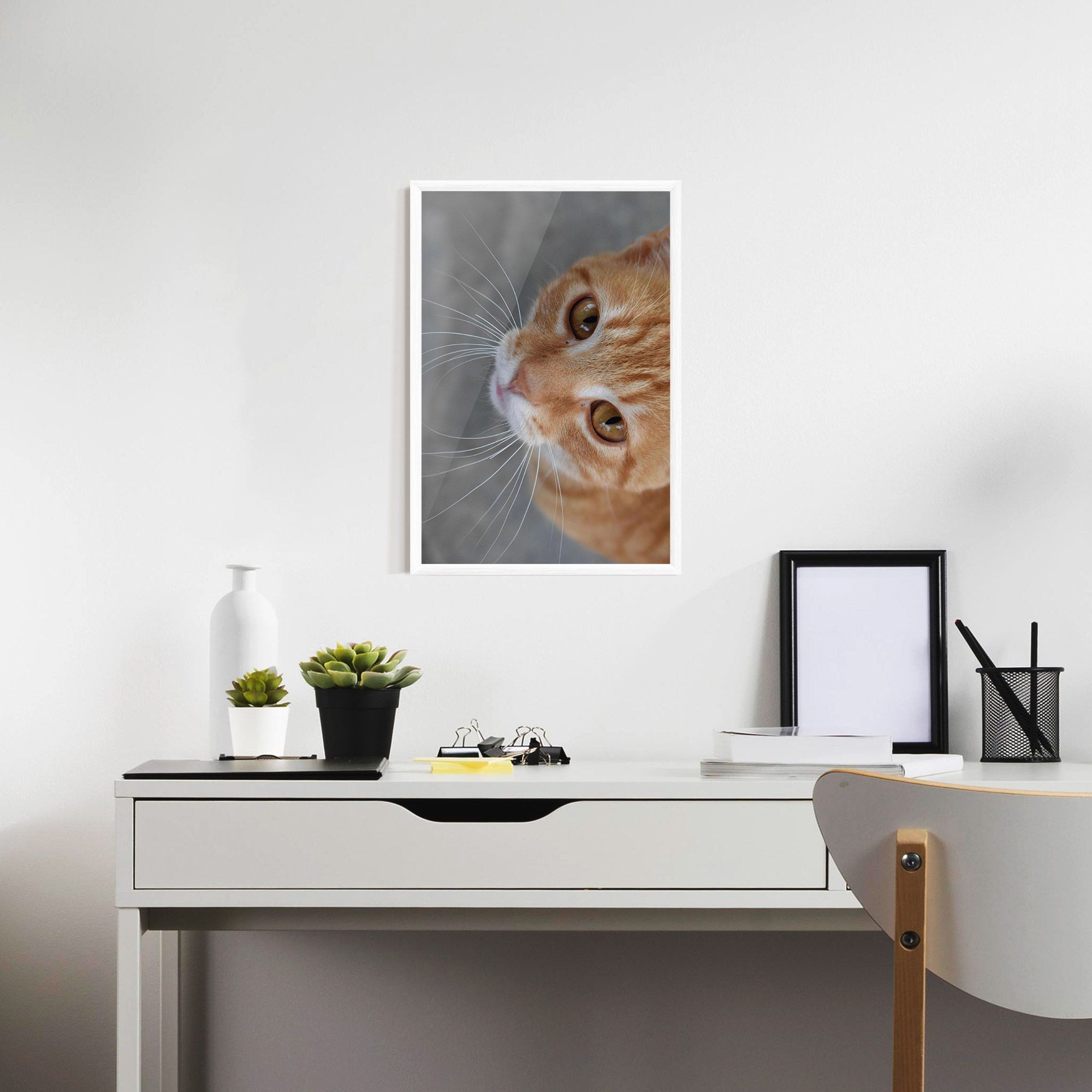 Pretty Orange Eyes Cat mockup 7