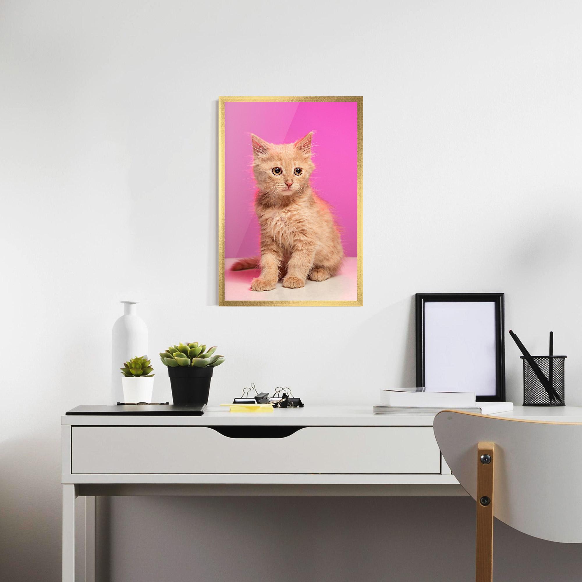 Poster Înrămat Orange Cat On Pink mockup 7
