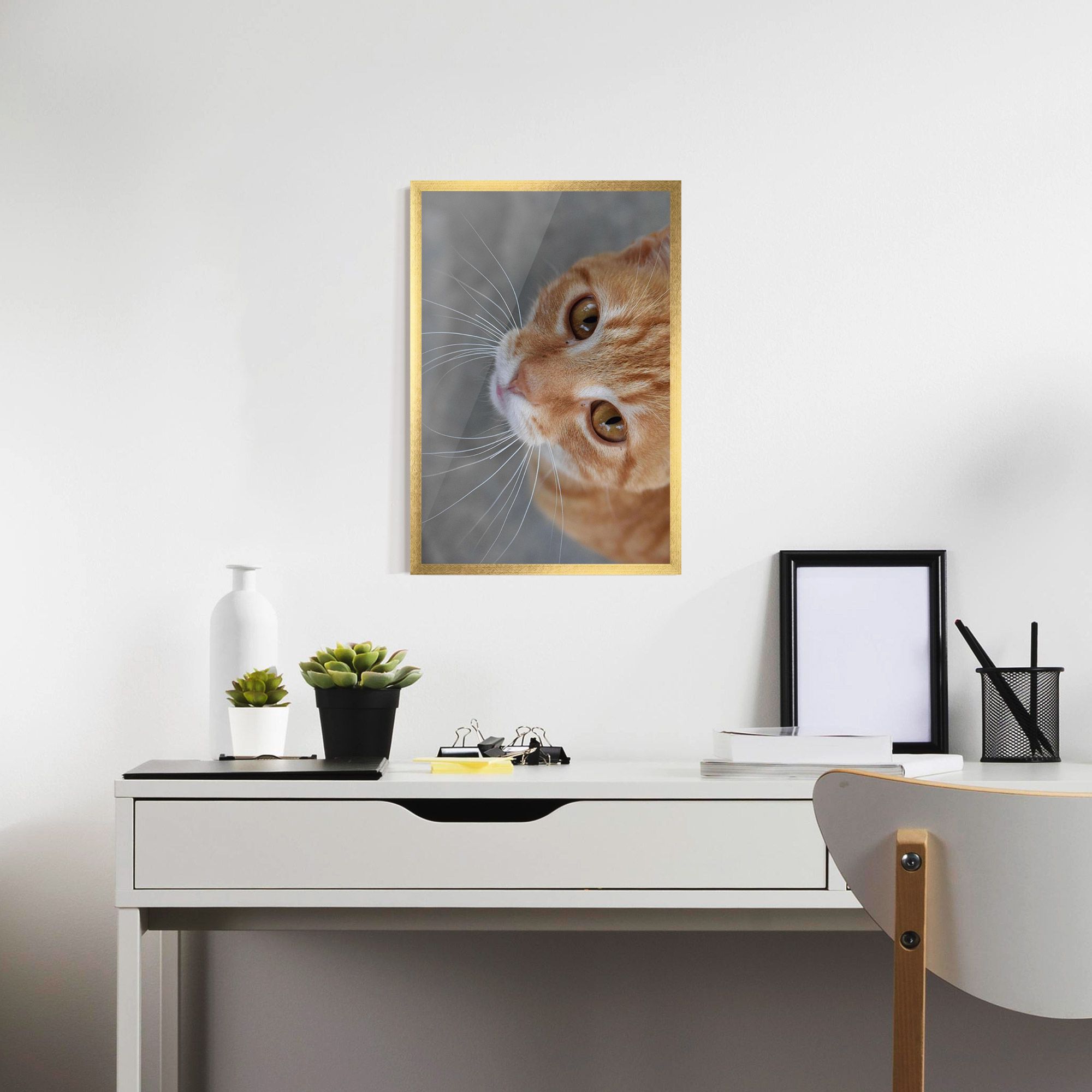 Pretty Orange Eyes Cat mockup 7