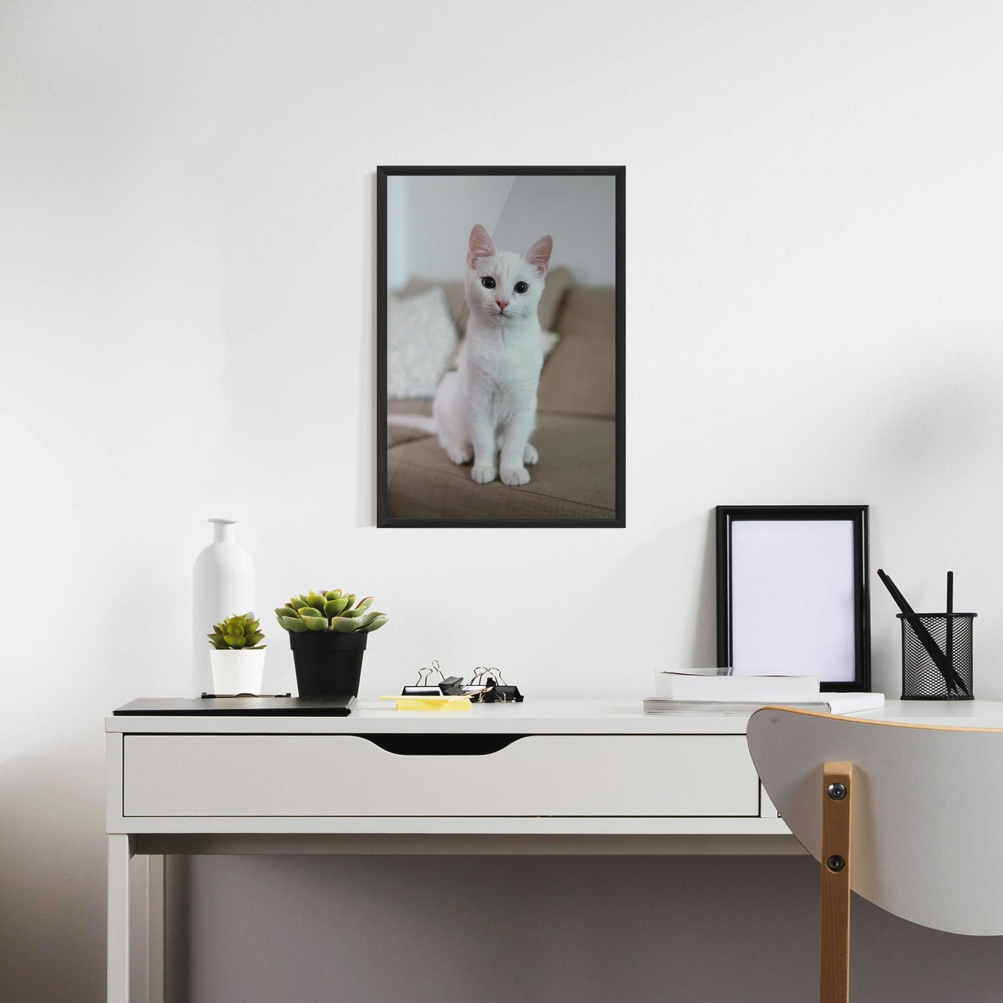 Poster Înrămat Beautiful White Cat mockup 7