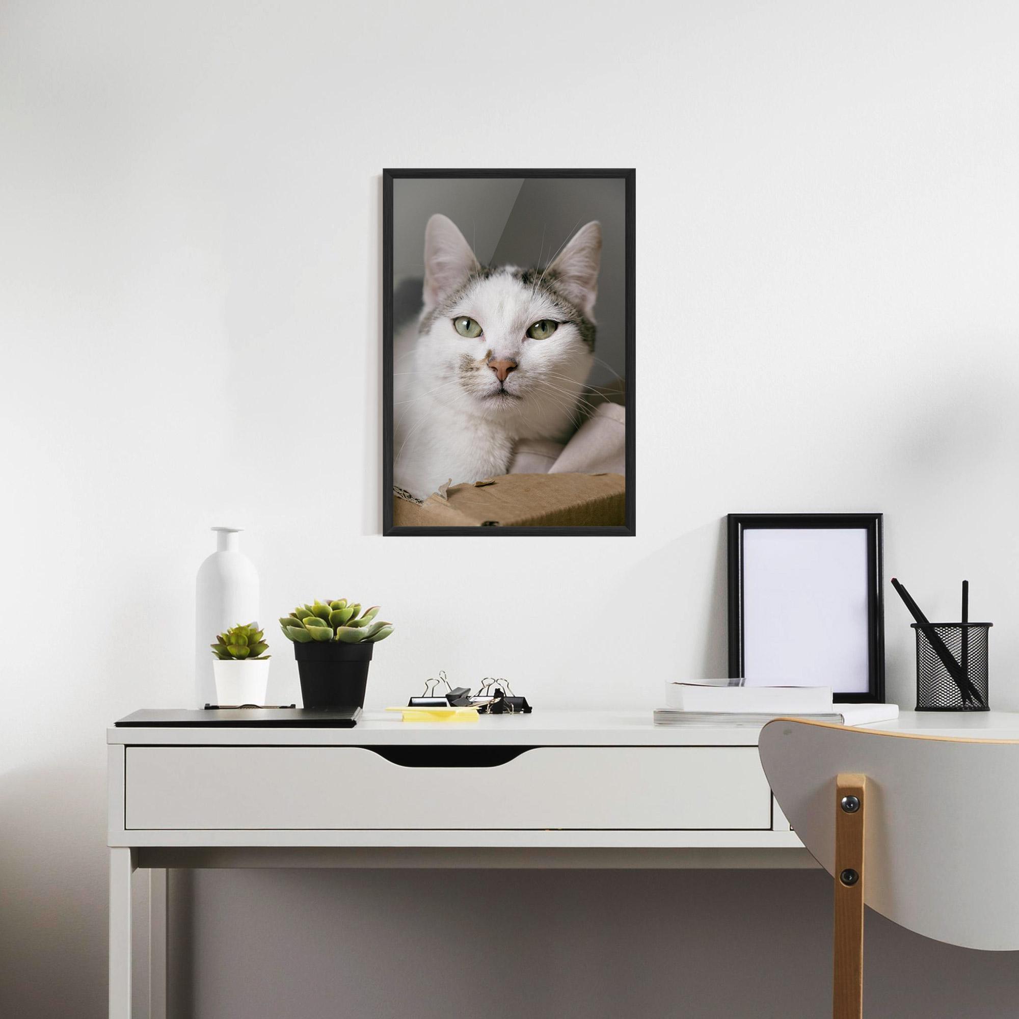 Poster Înrămat Big Sleepy Cat mockup 7