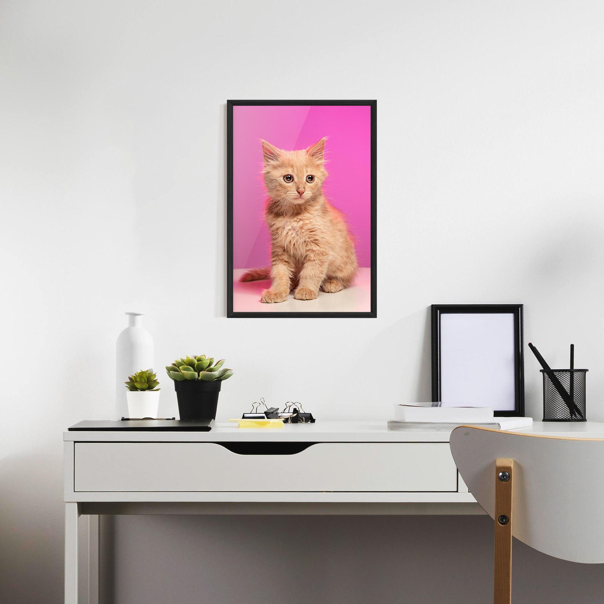 Poster Înrămat Orange Cat On Pink mockup 7