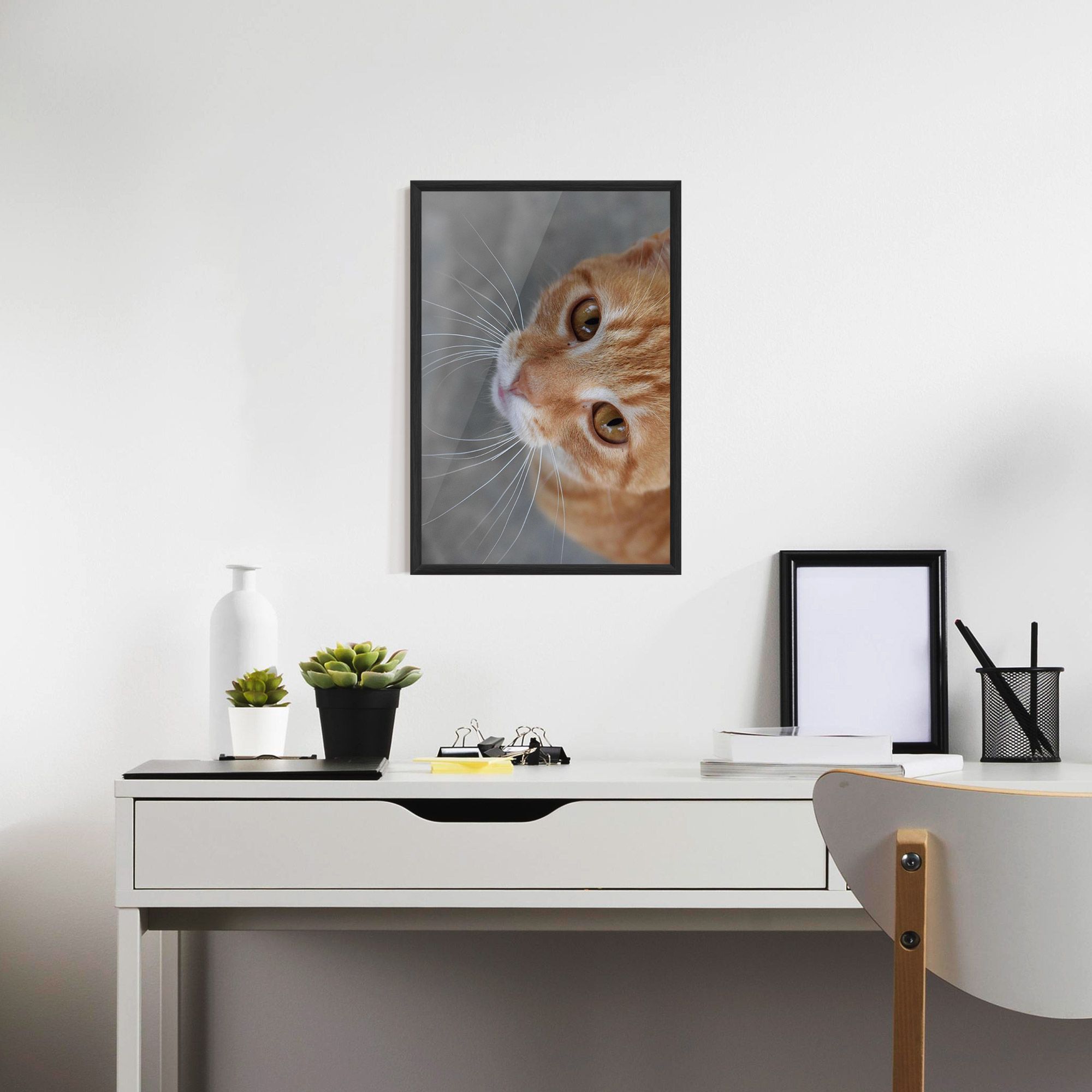 Pretty Orange Eyes Cat mockup 7