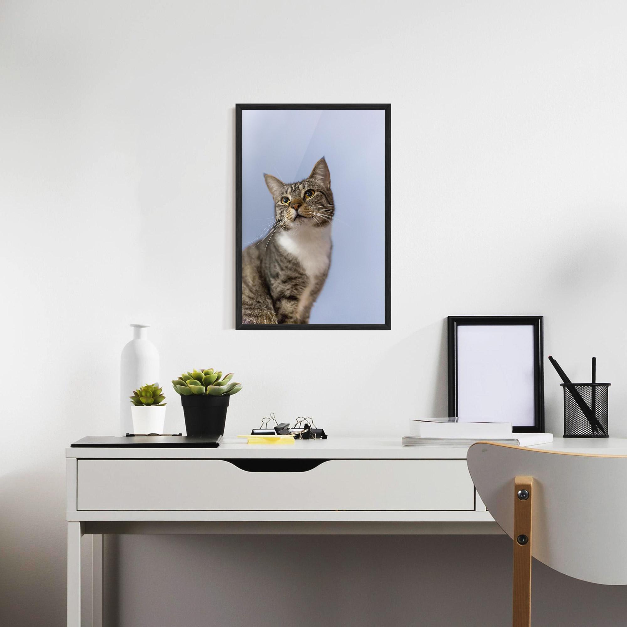 Poster Înrămat Yellow Eyes Cat mockup 7