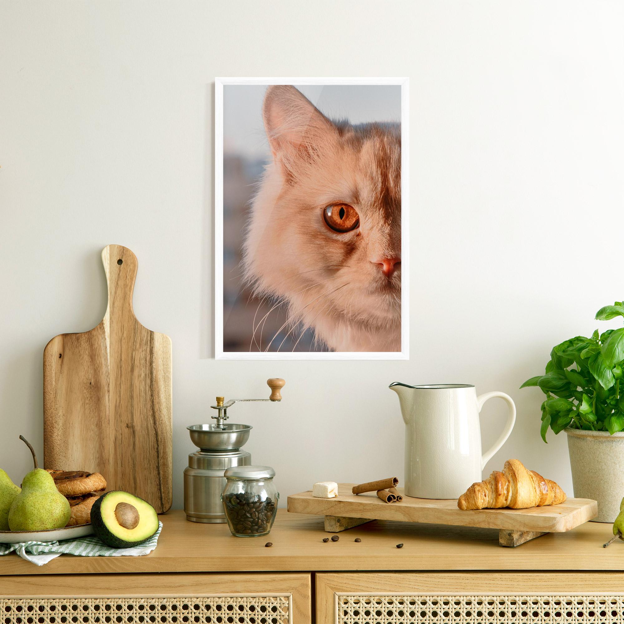 Poster Înrămat Cat Eye In Sun mockup 8