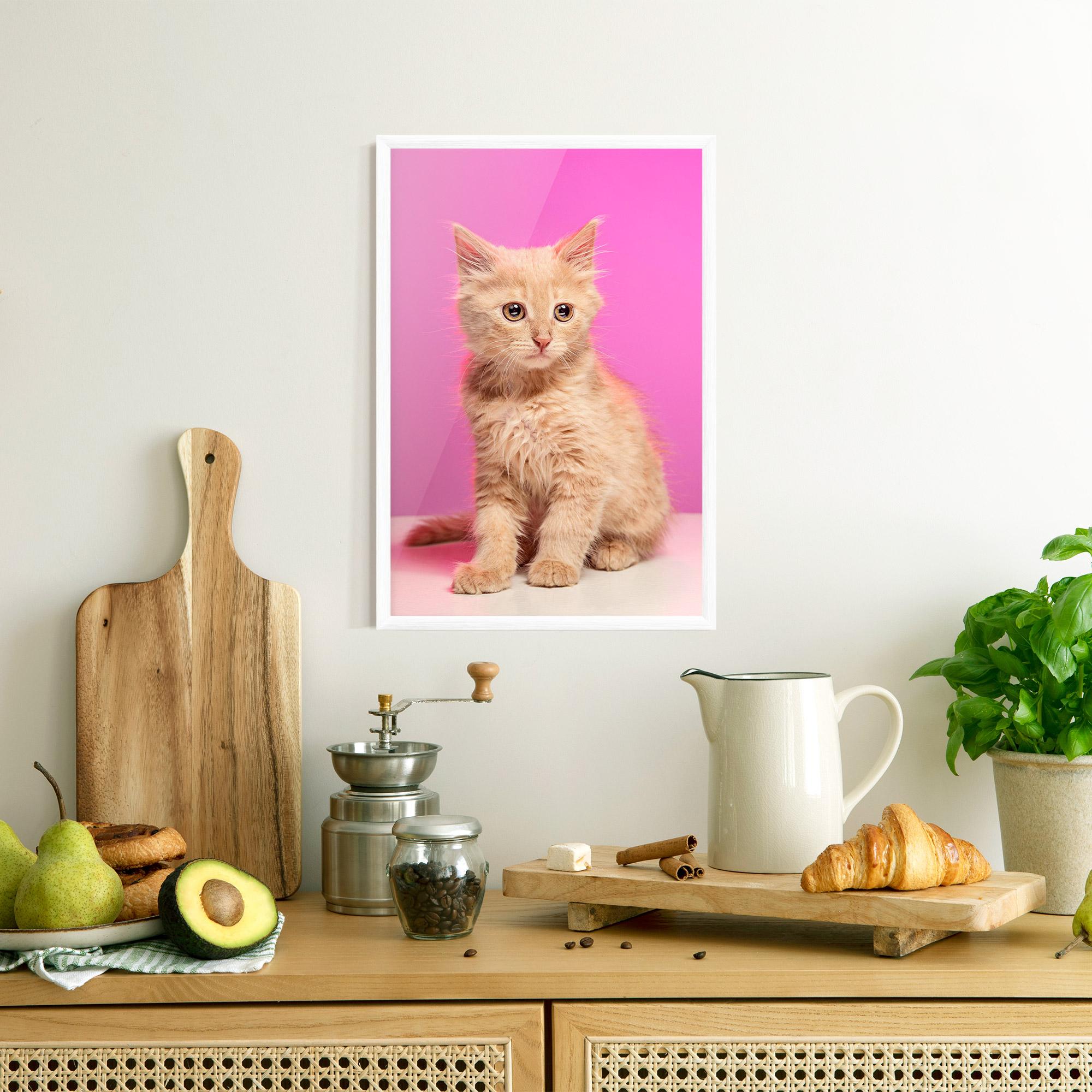 Poster Înrămat Orange Cat On Pink mockup 8