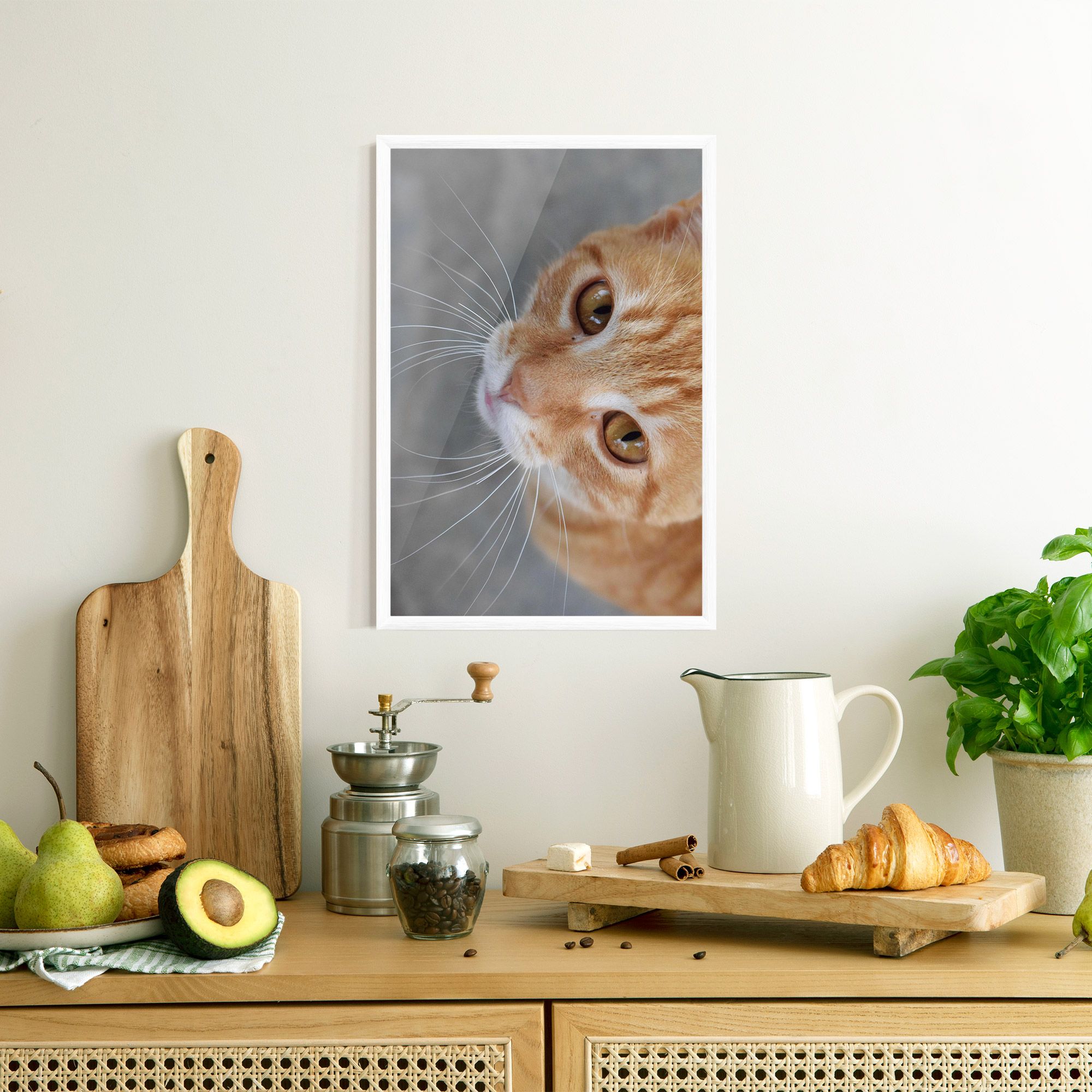 Pretty Orange Eyes Cat mockup 8