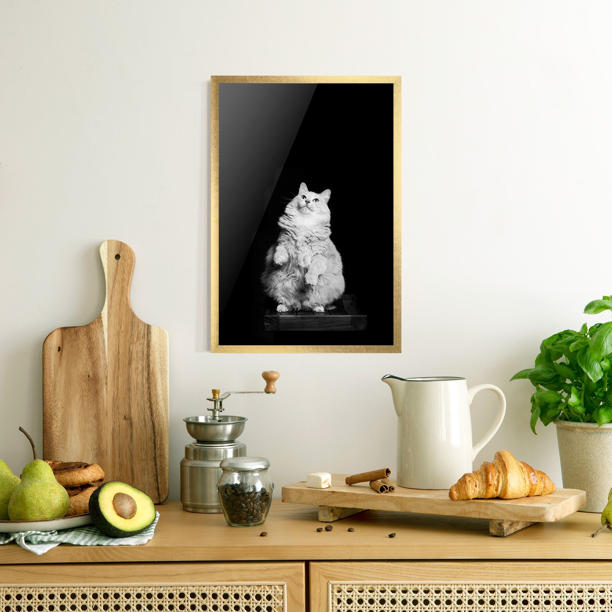 Big Fluffy Cat mockup 8