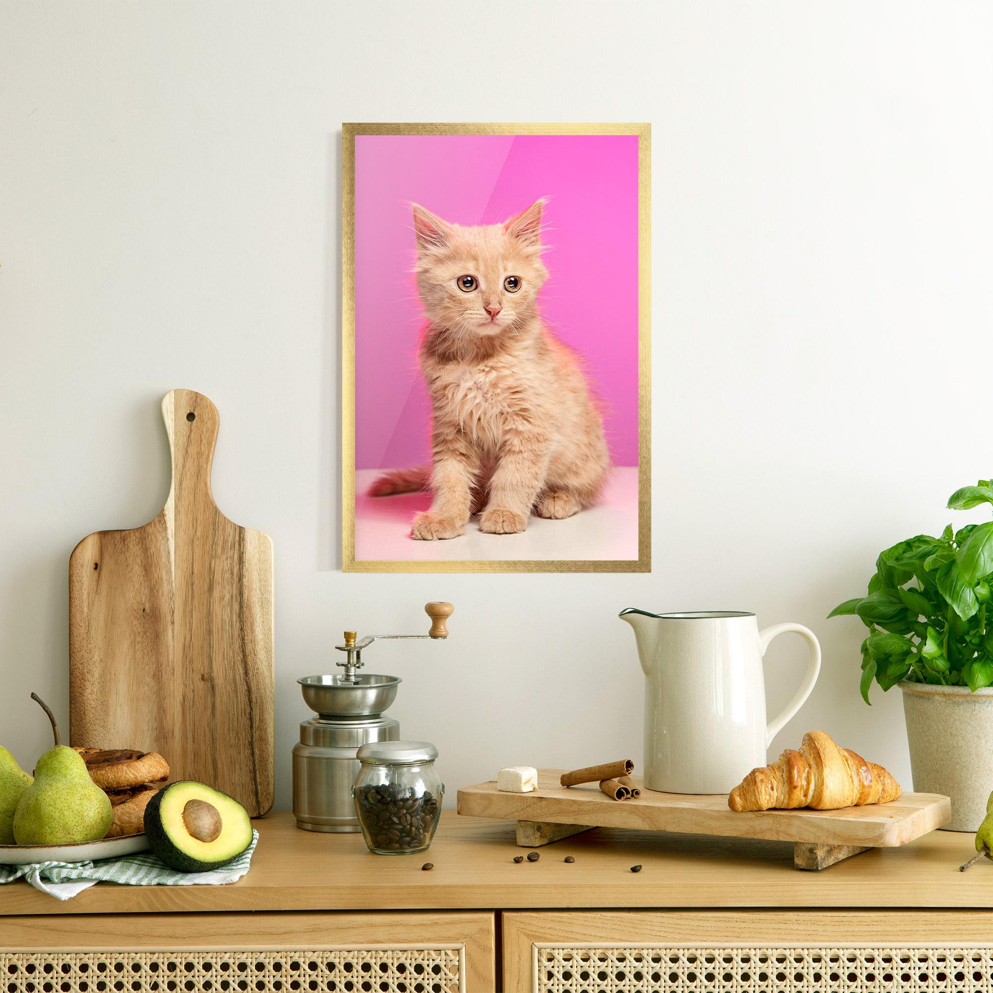 Poster Înrămat Orange Cat On Pink mockup 8