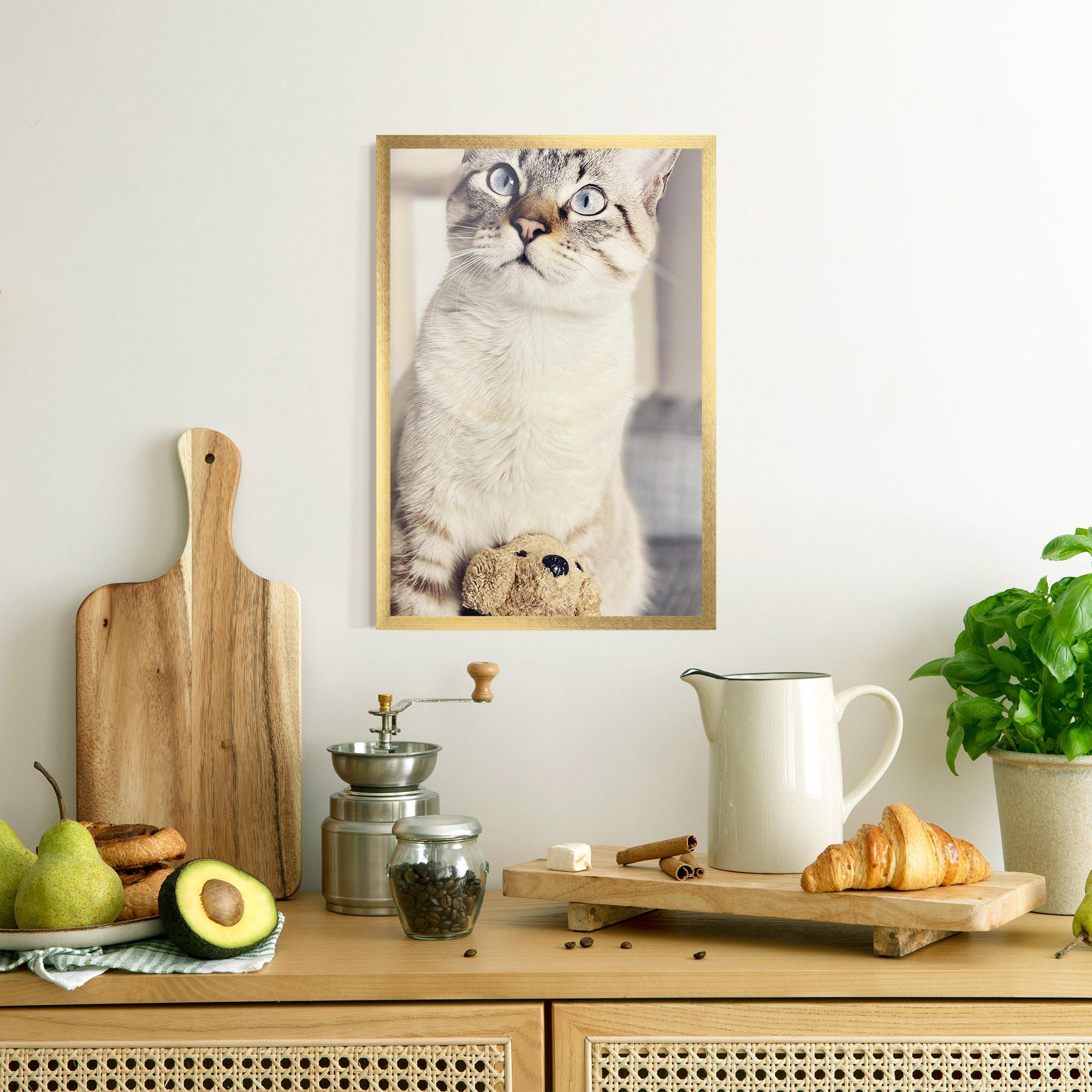 Poster Înrămat Pretty Blue Eyes Cat mockup 8