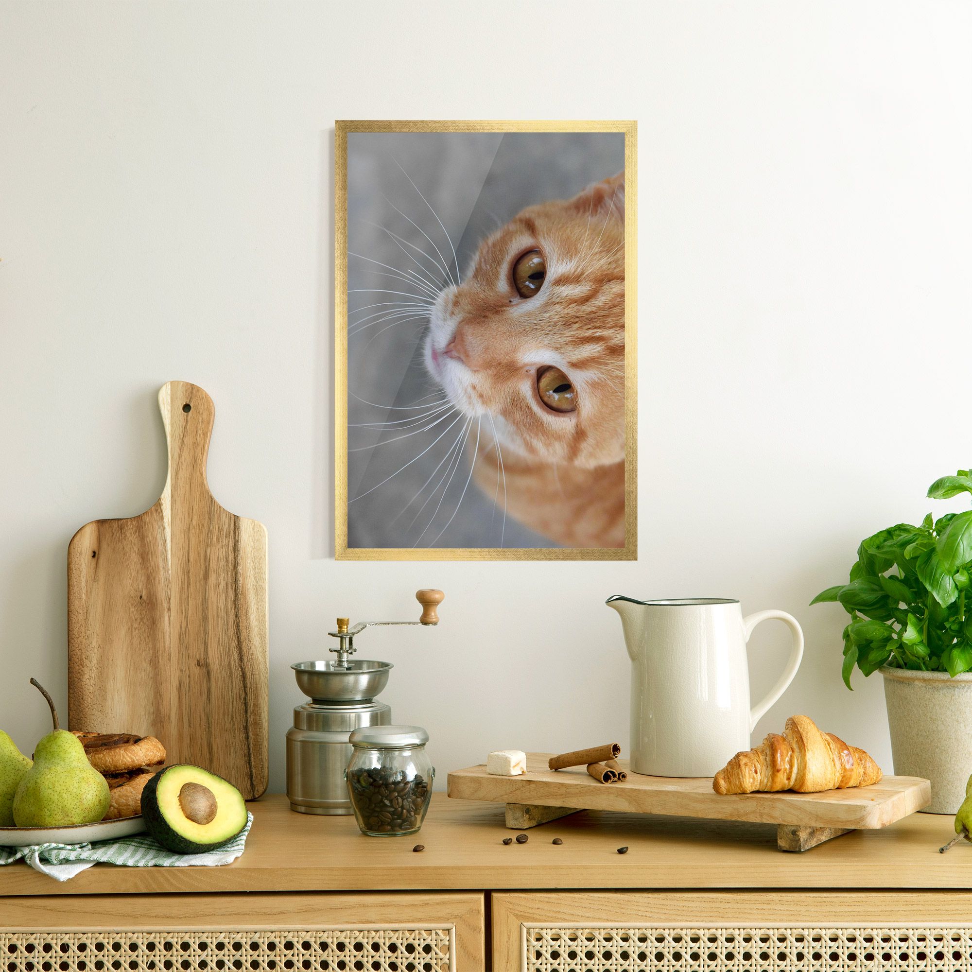 Pretty Orange Eyes Cat mockup 8