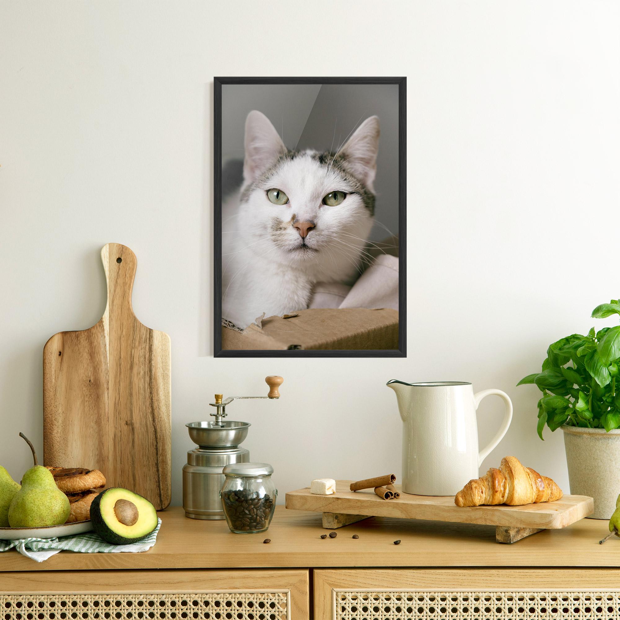 Poster Înrămat Big Sleepy Cat mockup 8