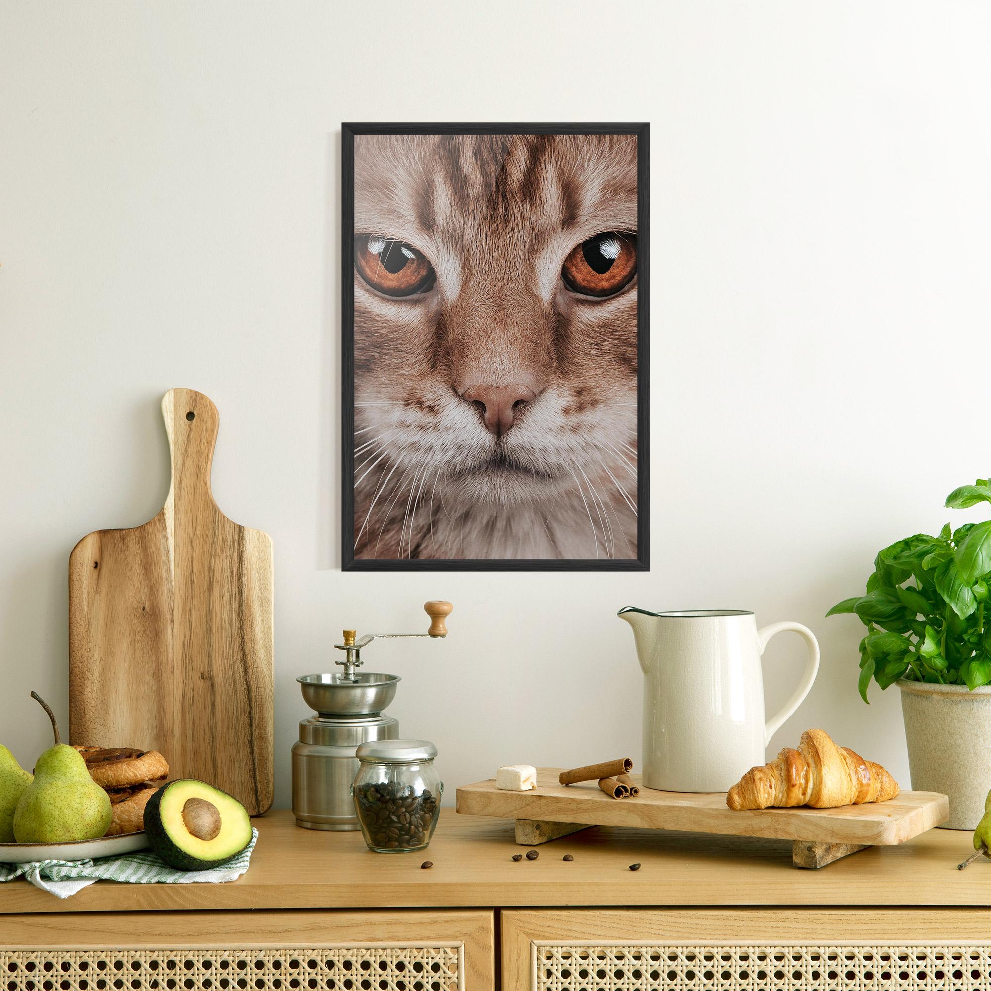Poster Înrămat Fire Eyes Cat mockup 8